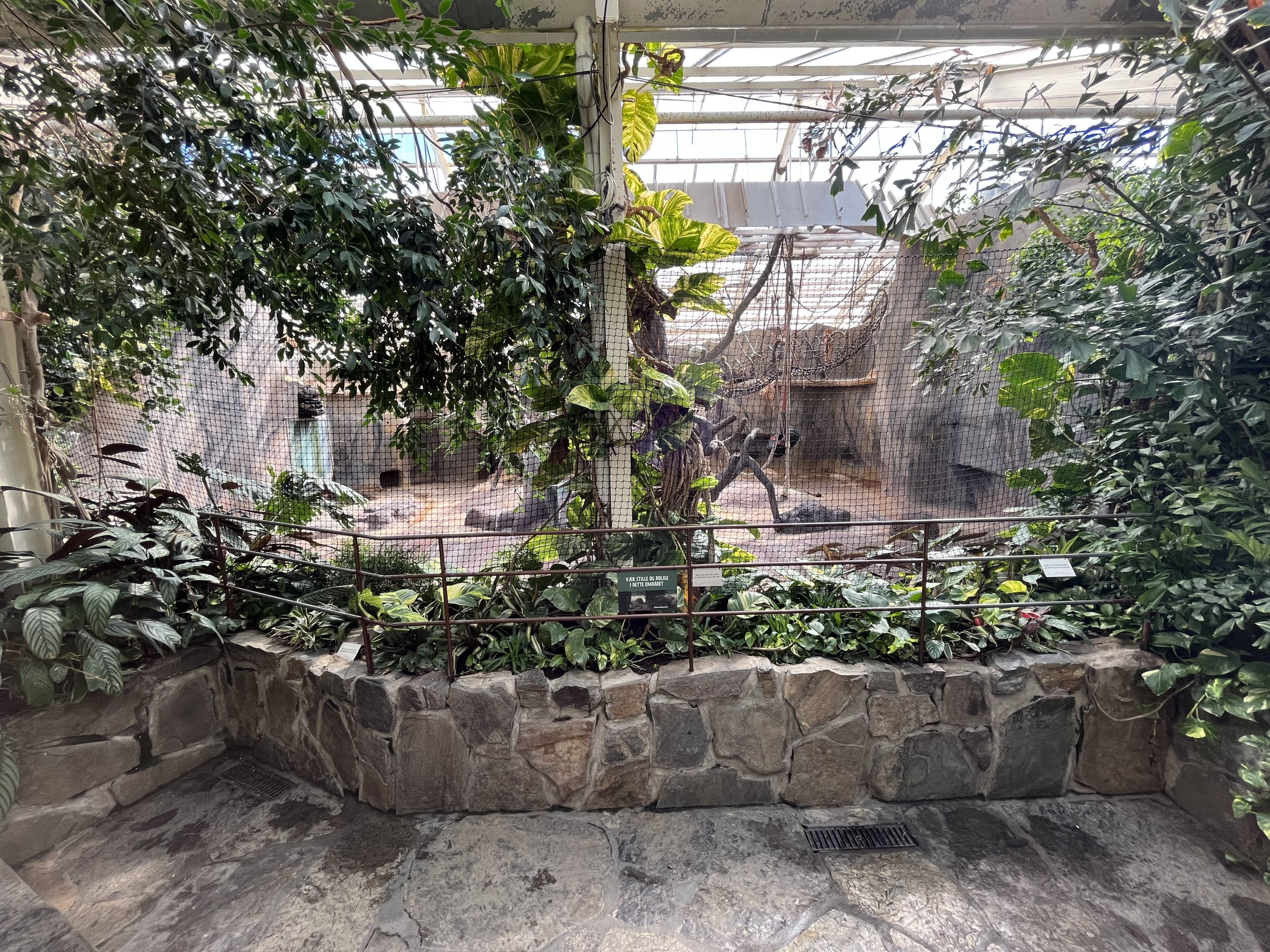 Chimpanzee Indoor Exhibit