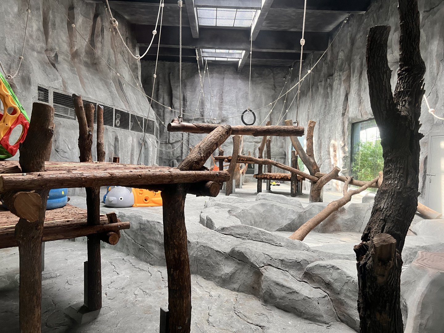 Chimpanzee Indoor Exhibit