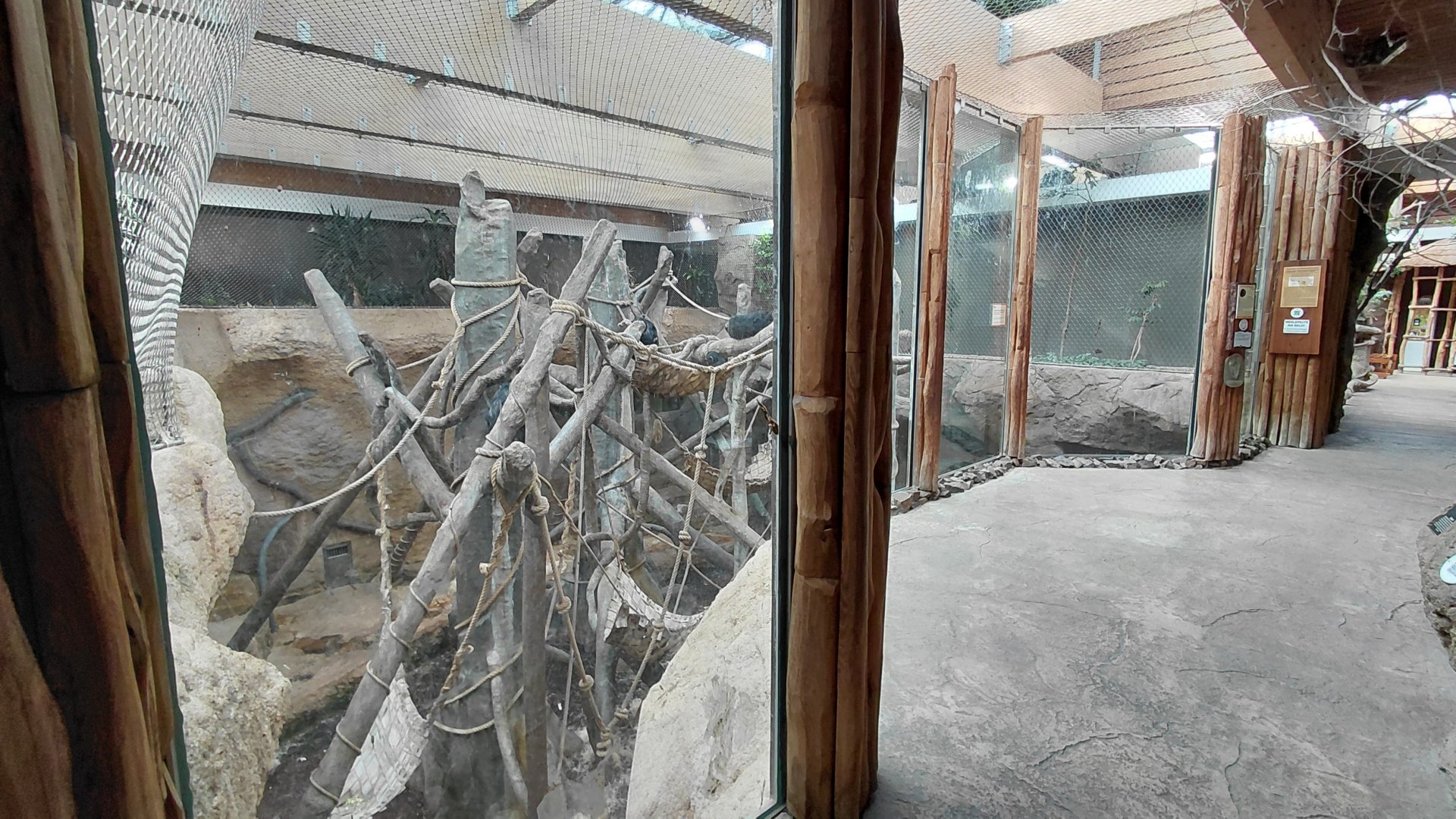 Chimpanzee indoor exhibit