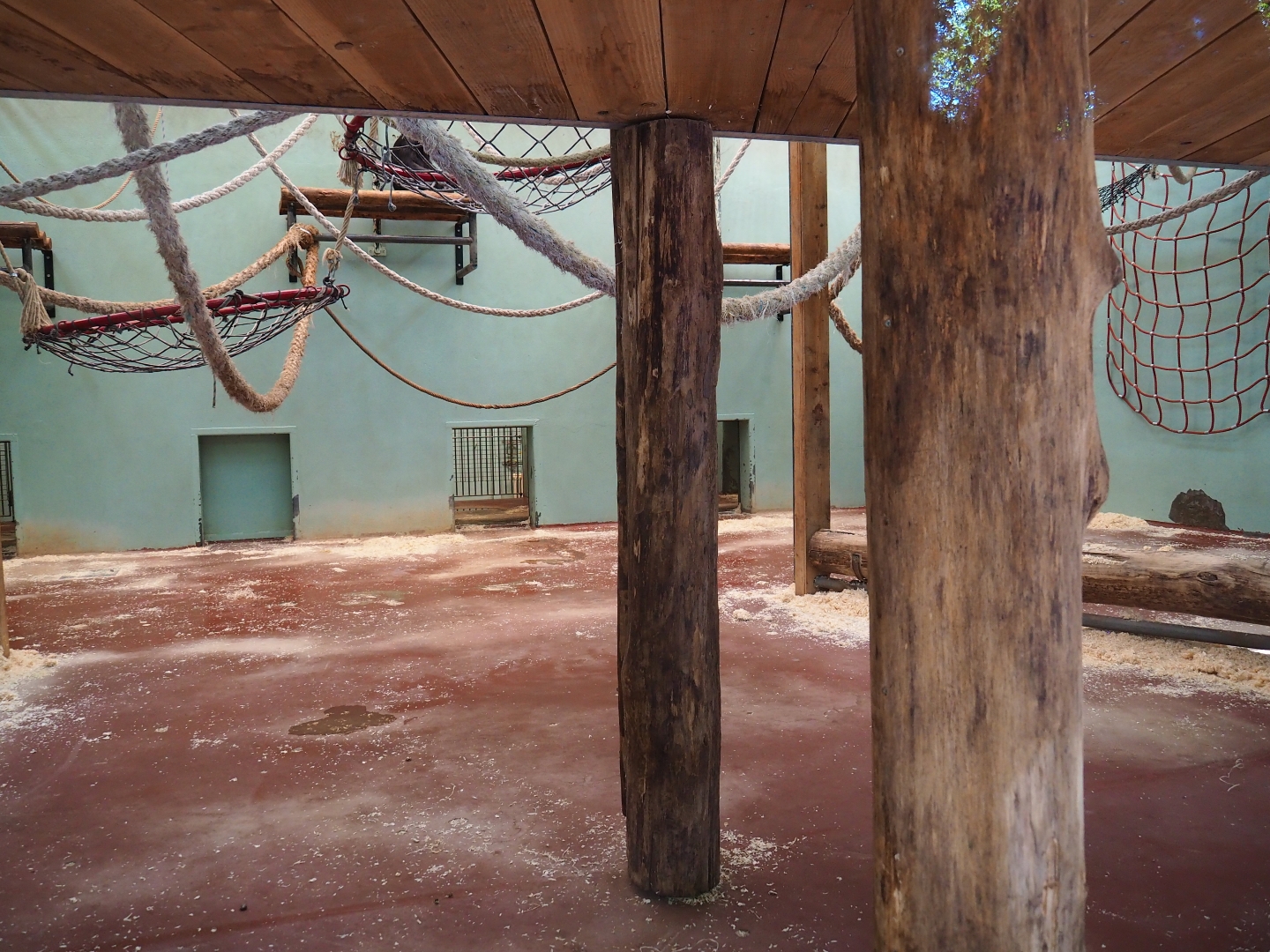 Chimpanzee indoor housing