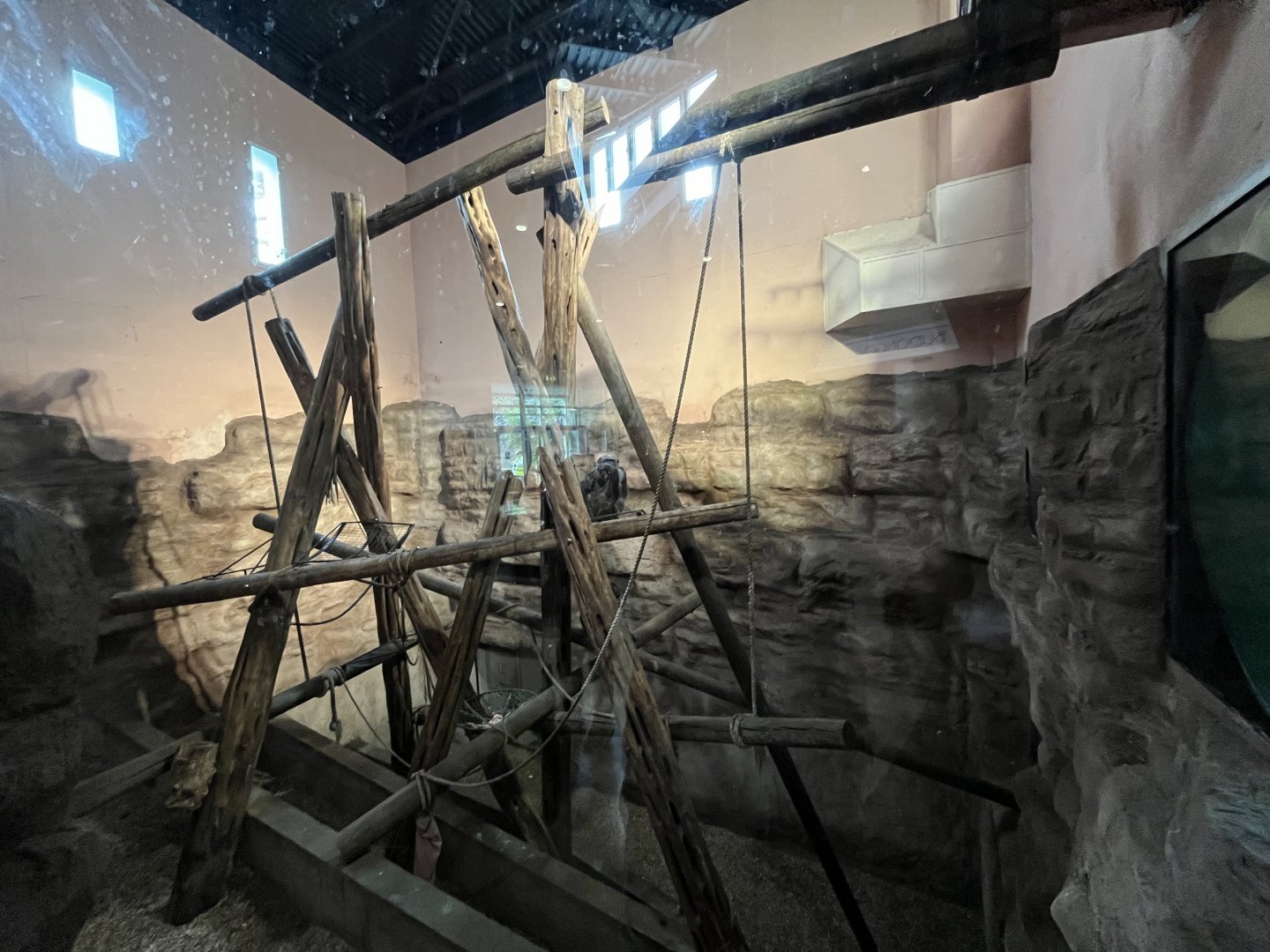 Chimpanzee indoor pod (0.5) 18.7.24