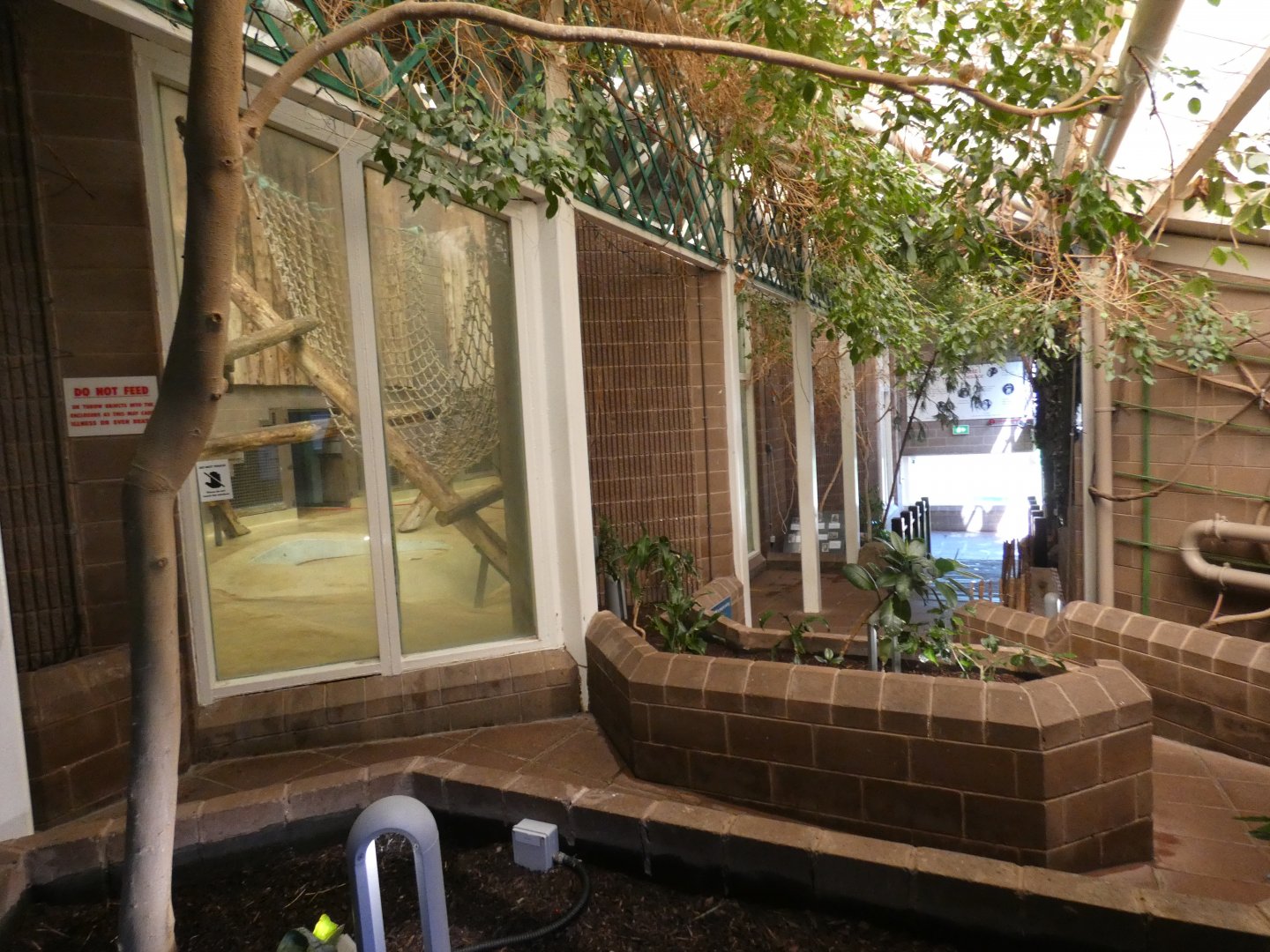 Chimpanzee indoor viewing area