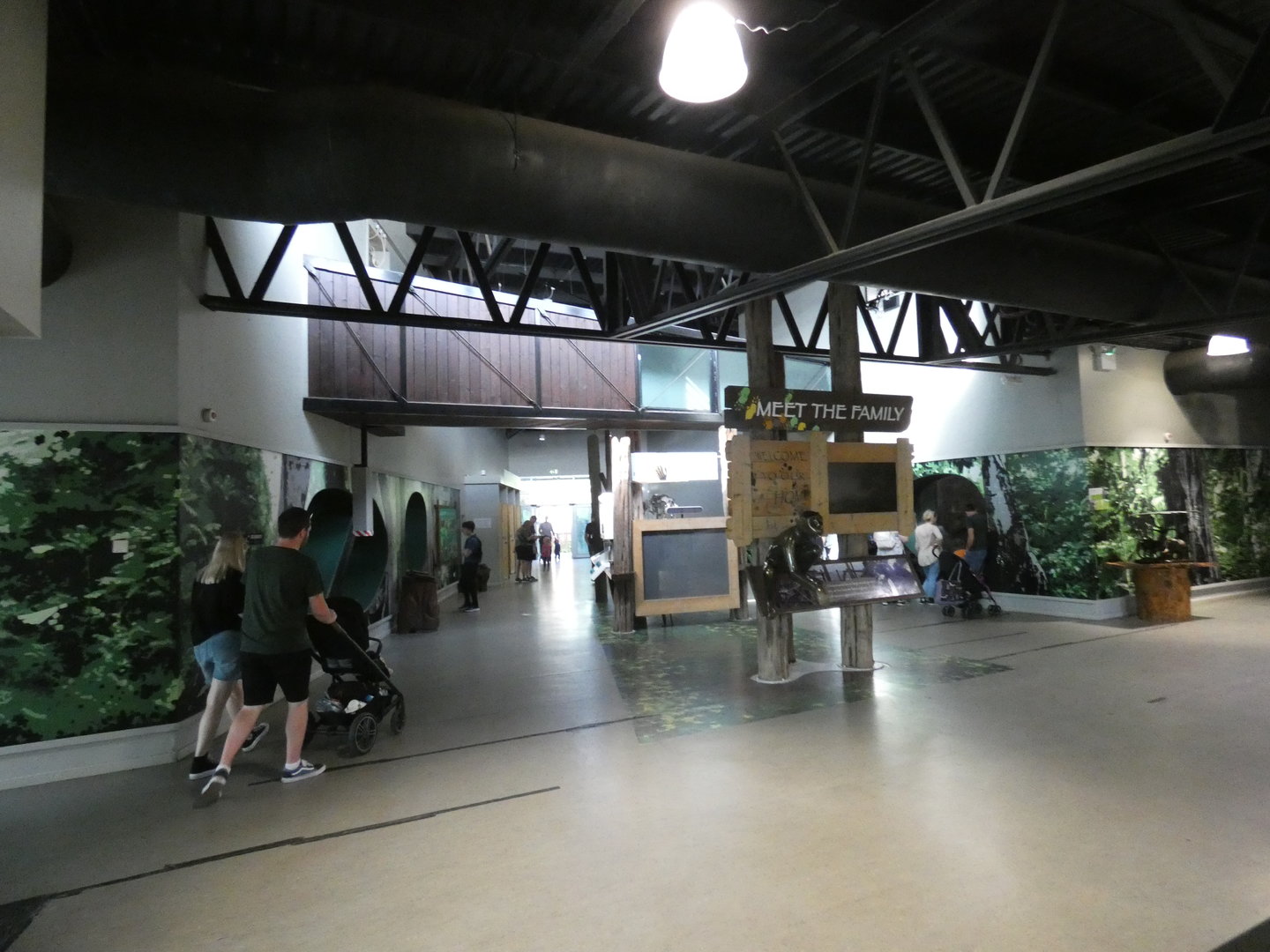 Chimpanzee indoor viewing area