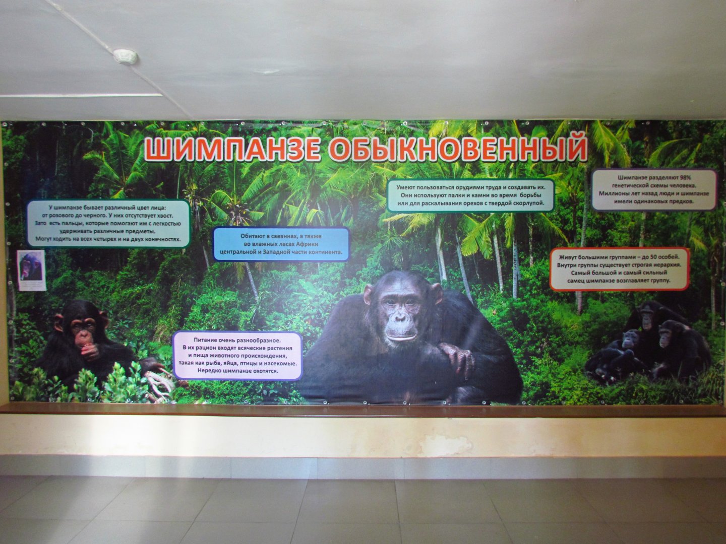 Chimpanzee info board in primate house