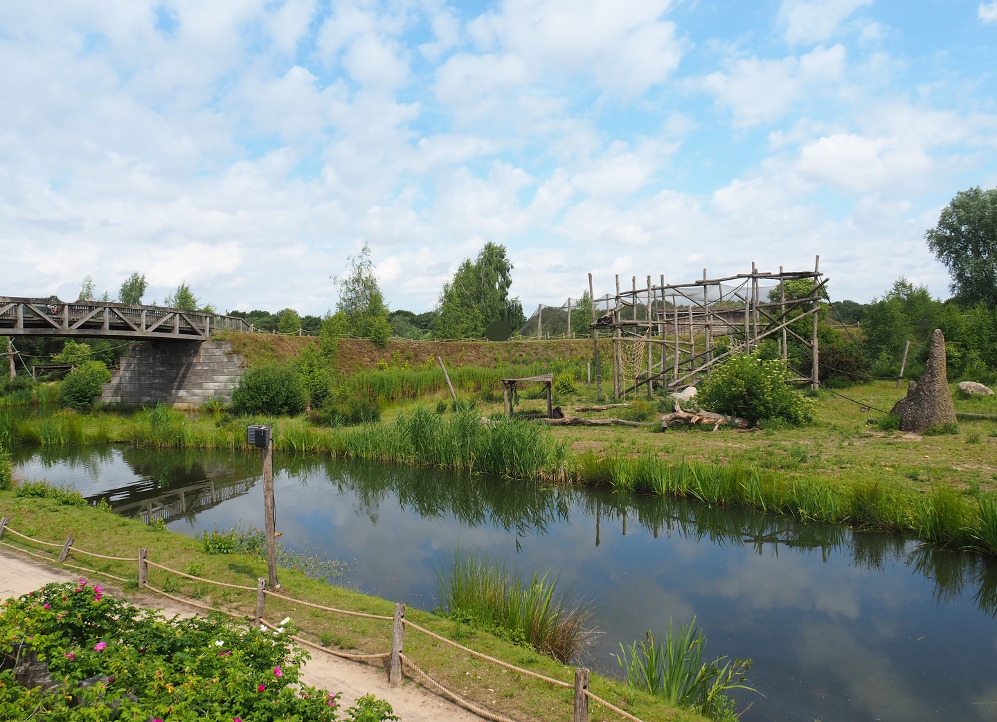 Chimpanzee island, 2022-06-12