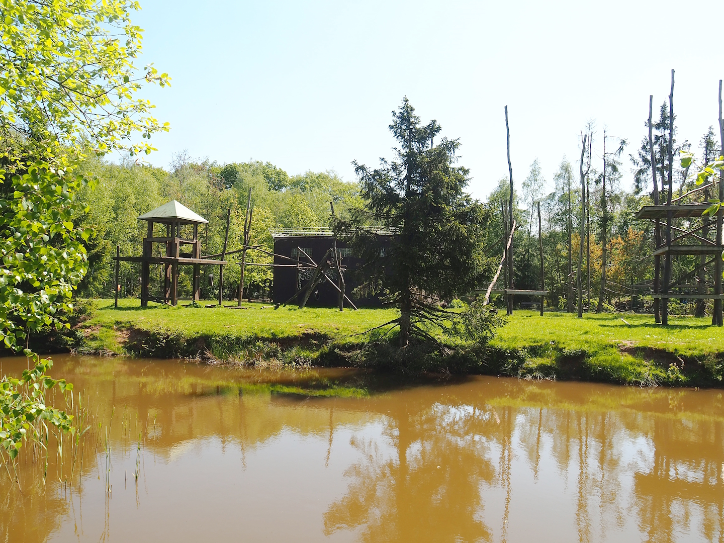 Chimpanzee island, 2023-05-19