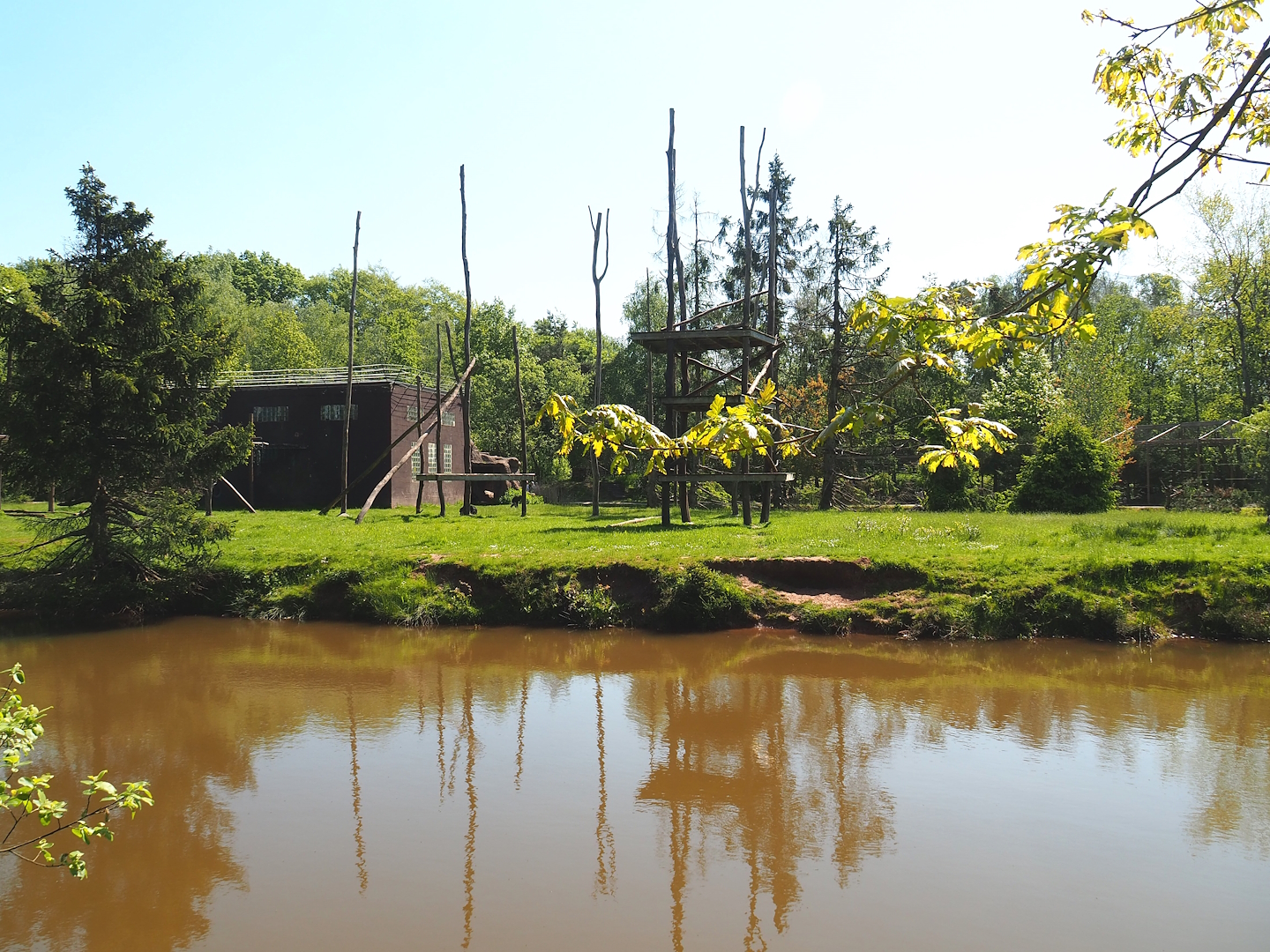 Chimpanzee island, 2023-05-19