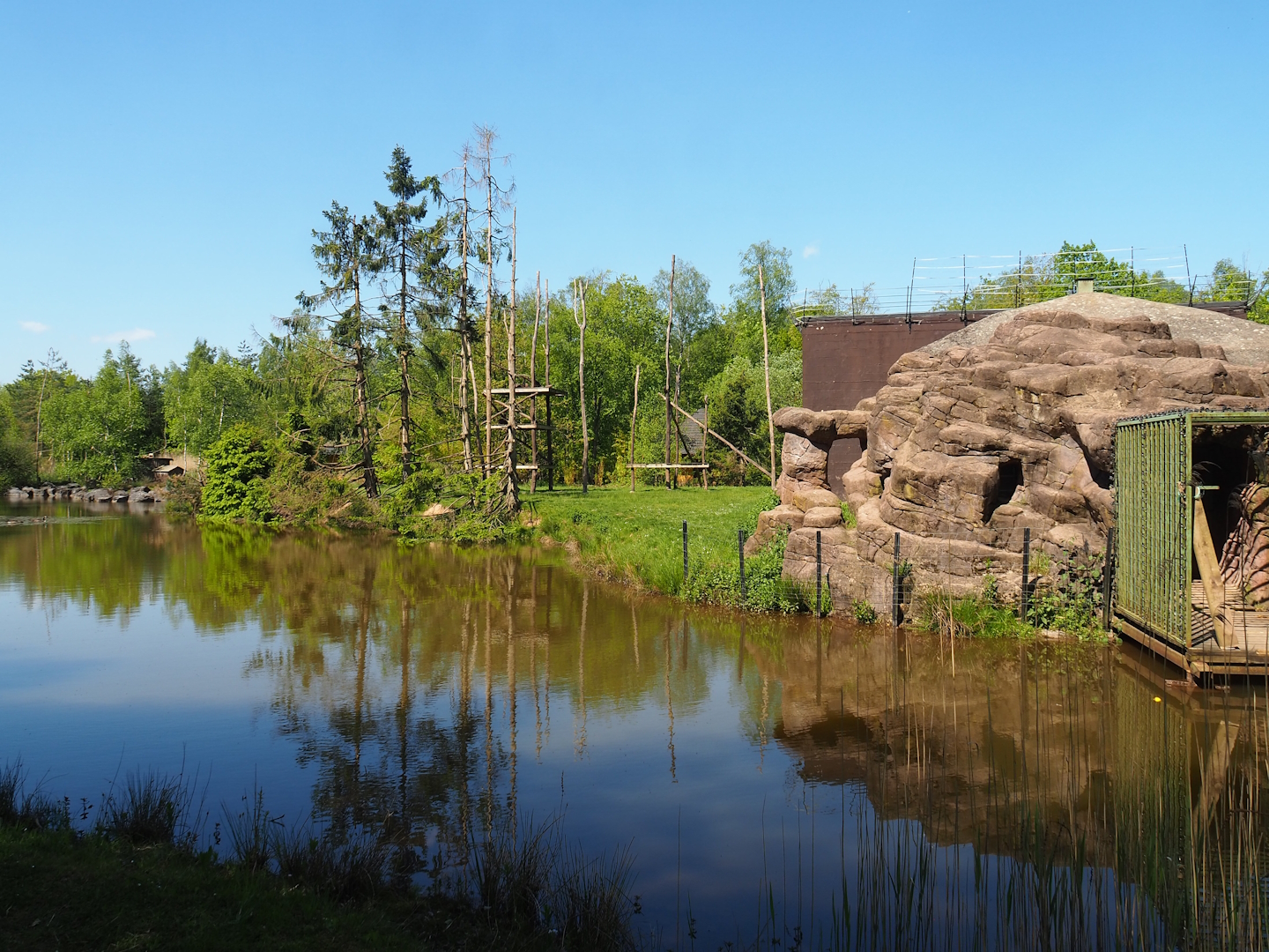 Chimpanzee island, 2023-05-19