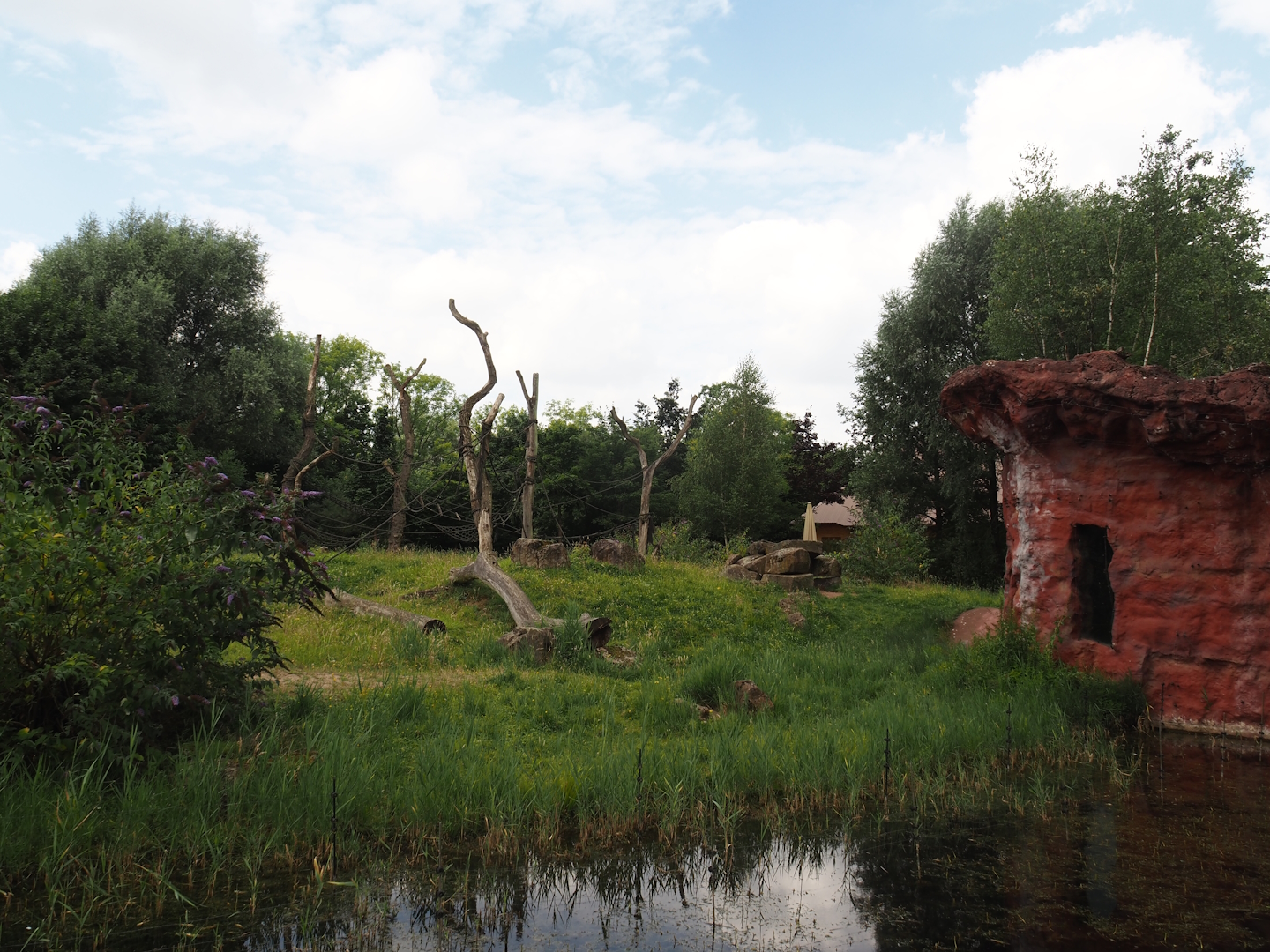 Chimpanzee island, 2024-08-05