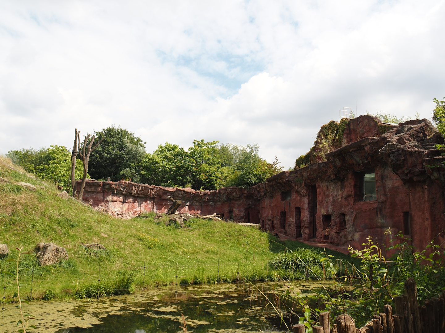 Chimpanzee island, 2024-08-05