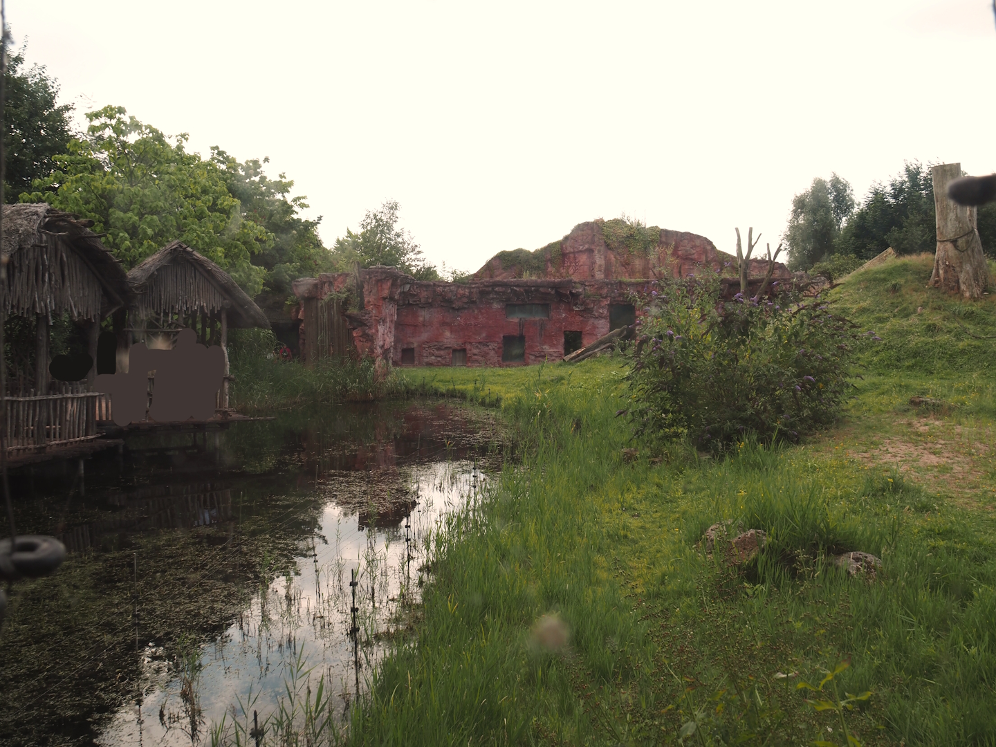 Chimpanzee island and part of viewing area, 2024-08-05