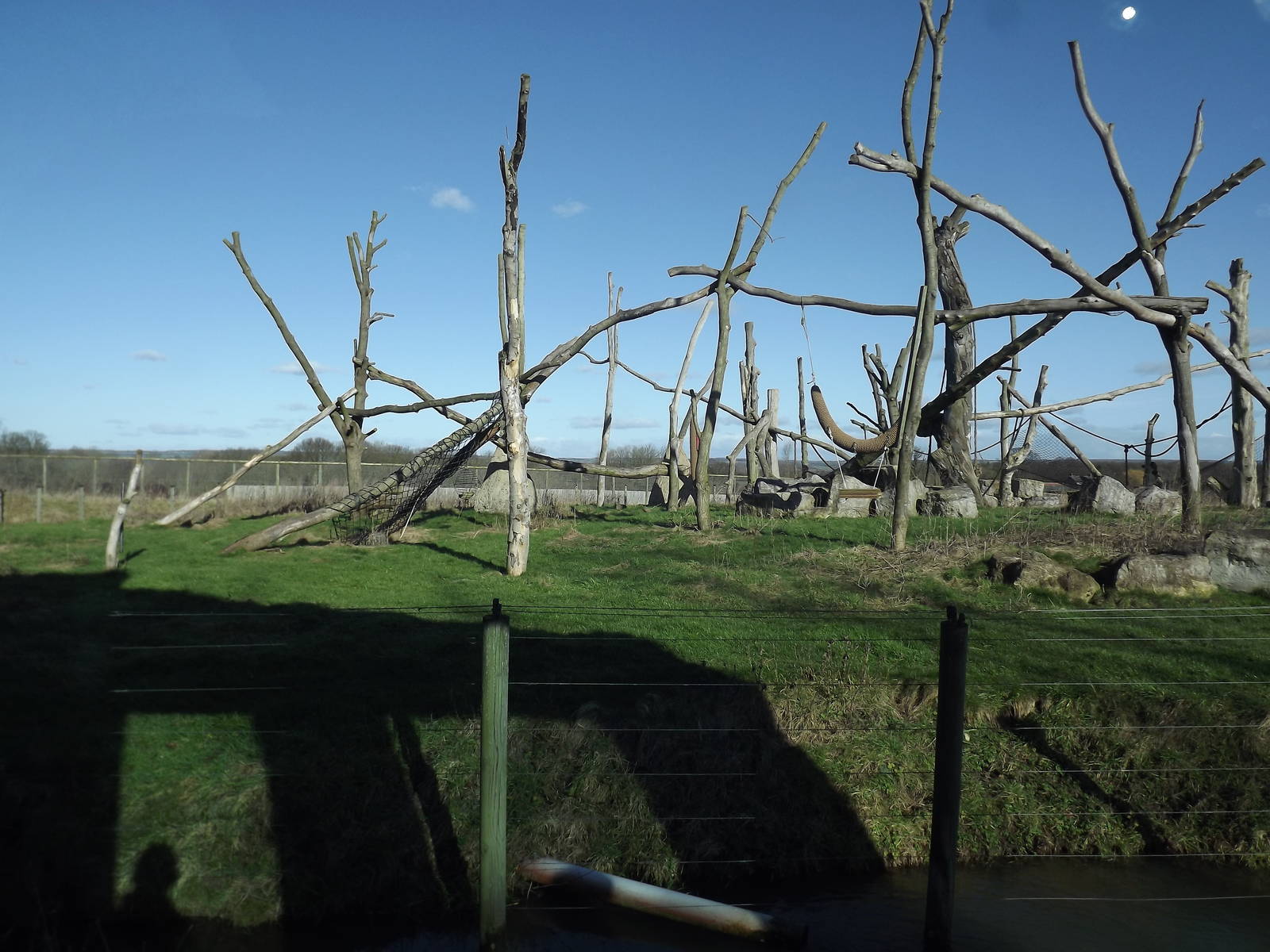Chimpanzee island at Flamingoland 19/02/12