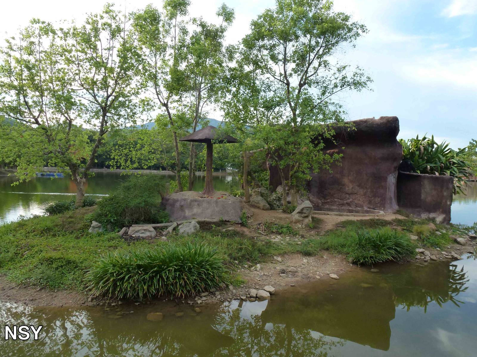 Chimpanzee island, June 2013.