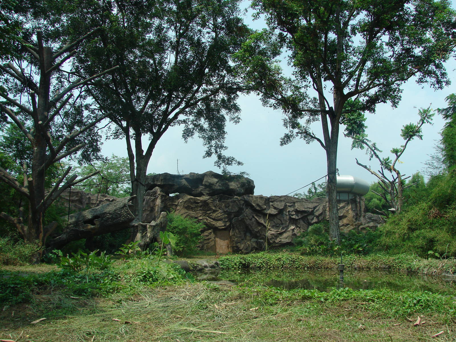 Chimpanzee island - Schmutzer Primate Centre