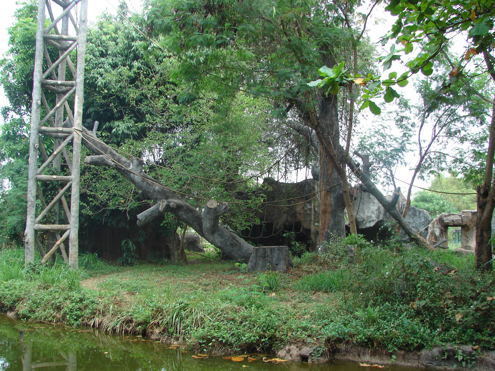 Chimpanzee island - Schmutzer Primate Centre