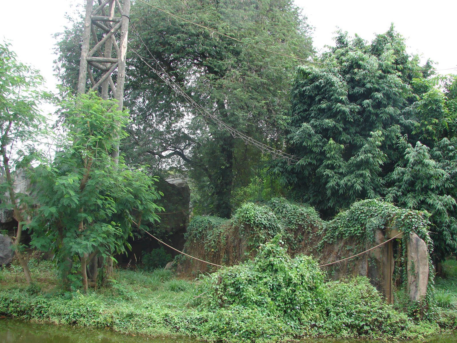 Chimpanzee island - Schmutzer Primate Centre