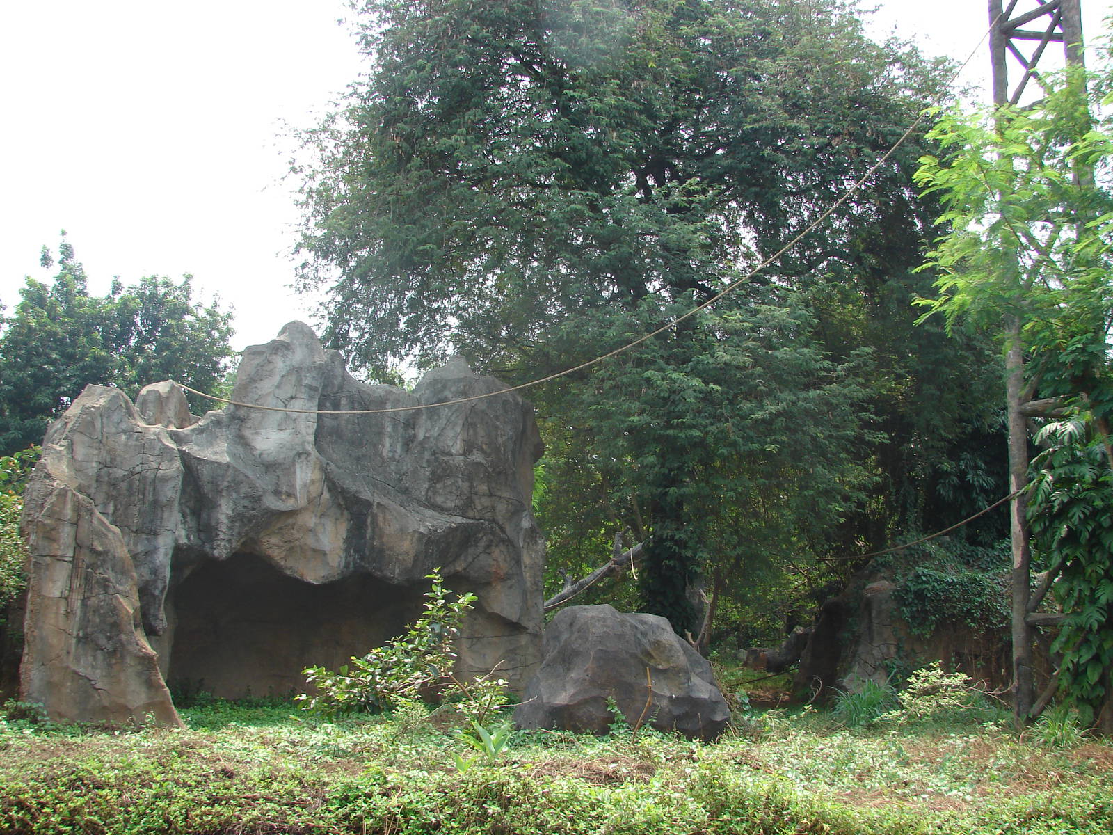 Chimpanzee island - Schmutzer Primate Centre