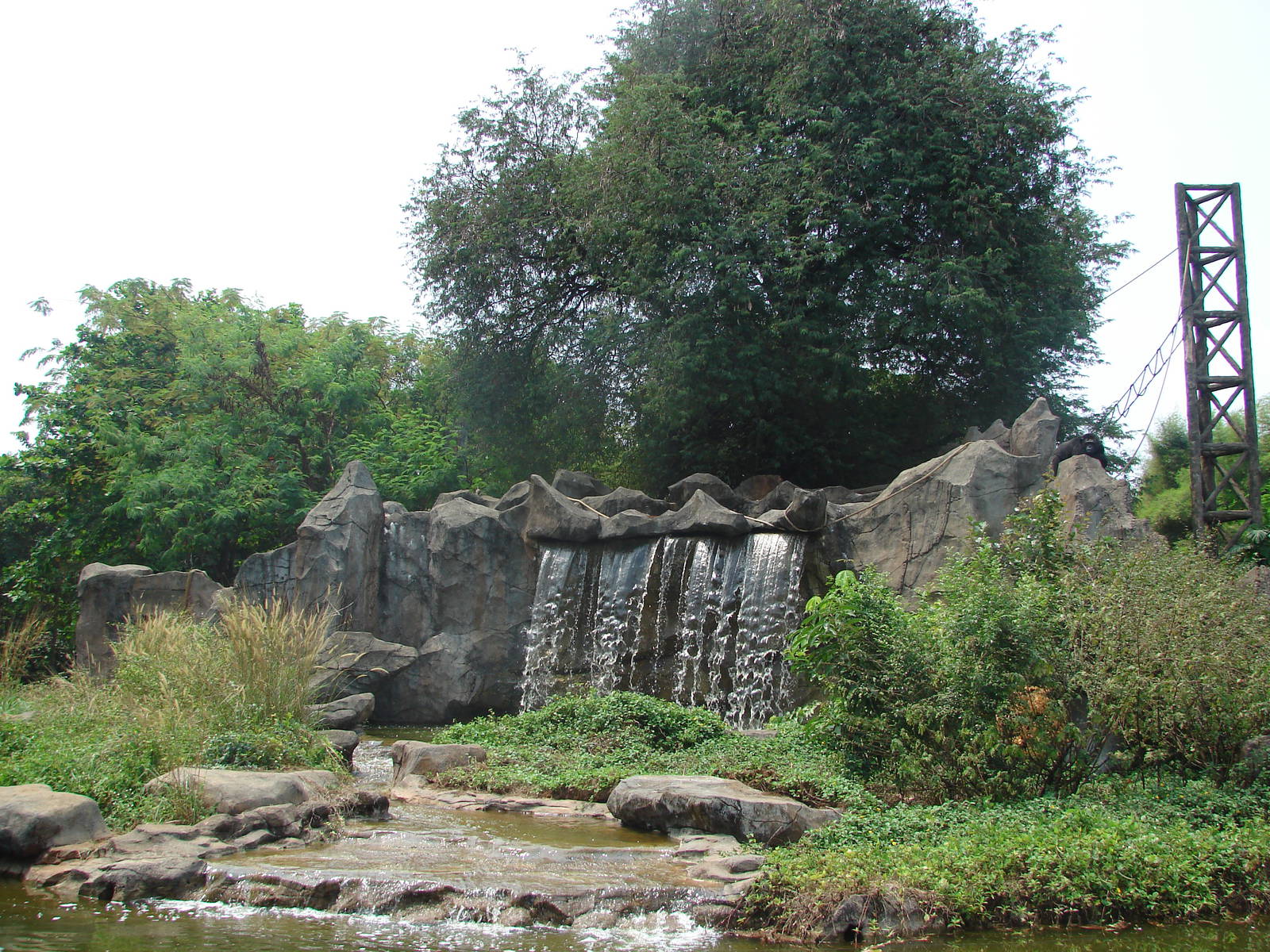 Chimpanzee island - Schmutzer Primate Centre