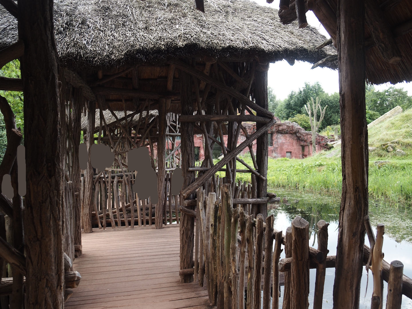 Chimpanzee island viewing area, 2024-08-05