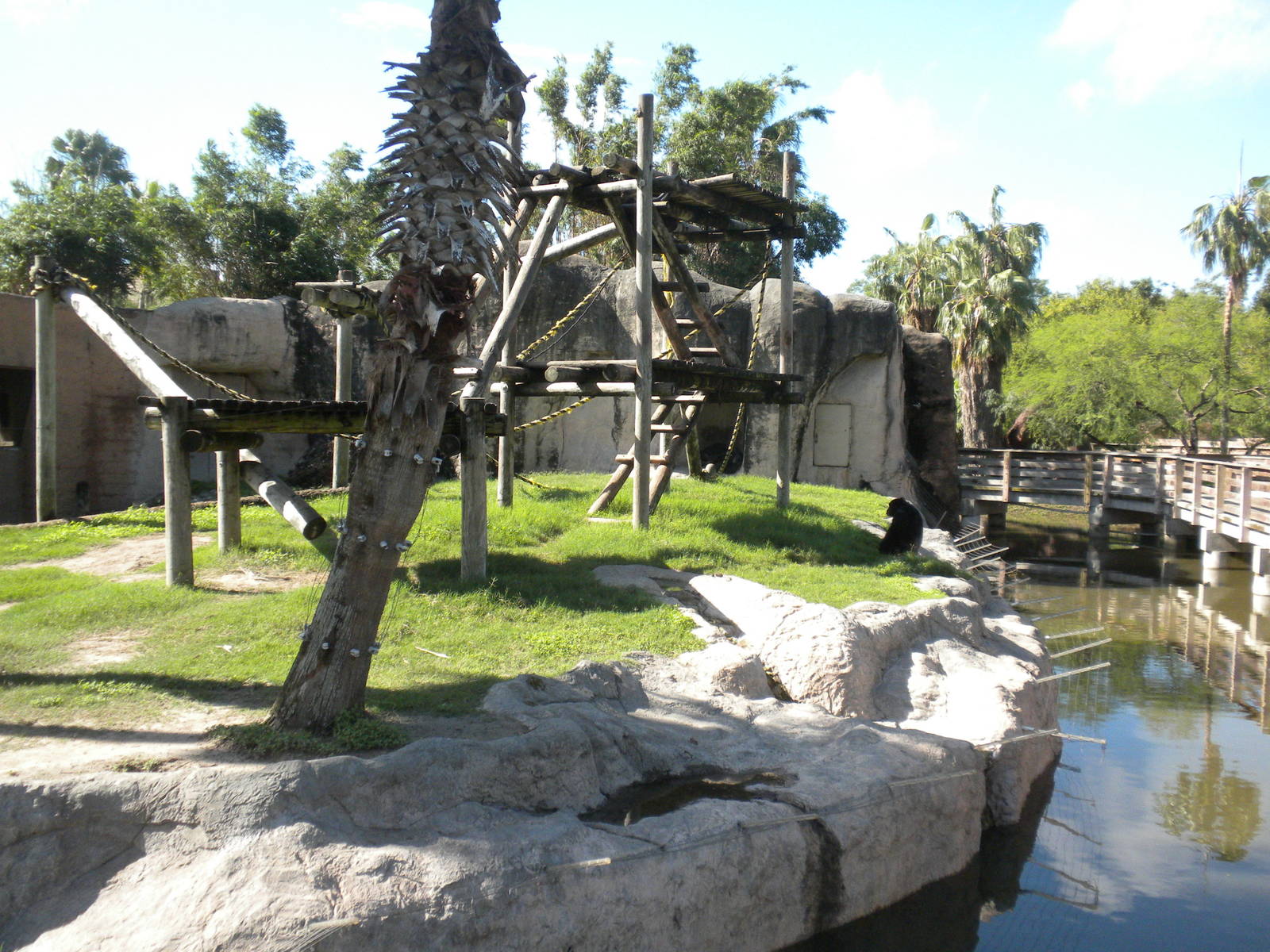 Chimpanzee Island