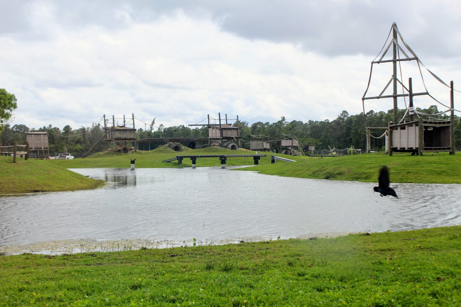 Chimpanzee islands (2016