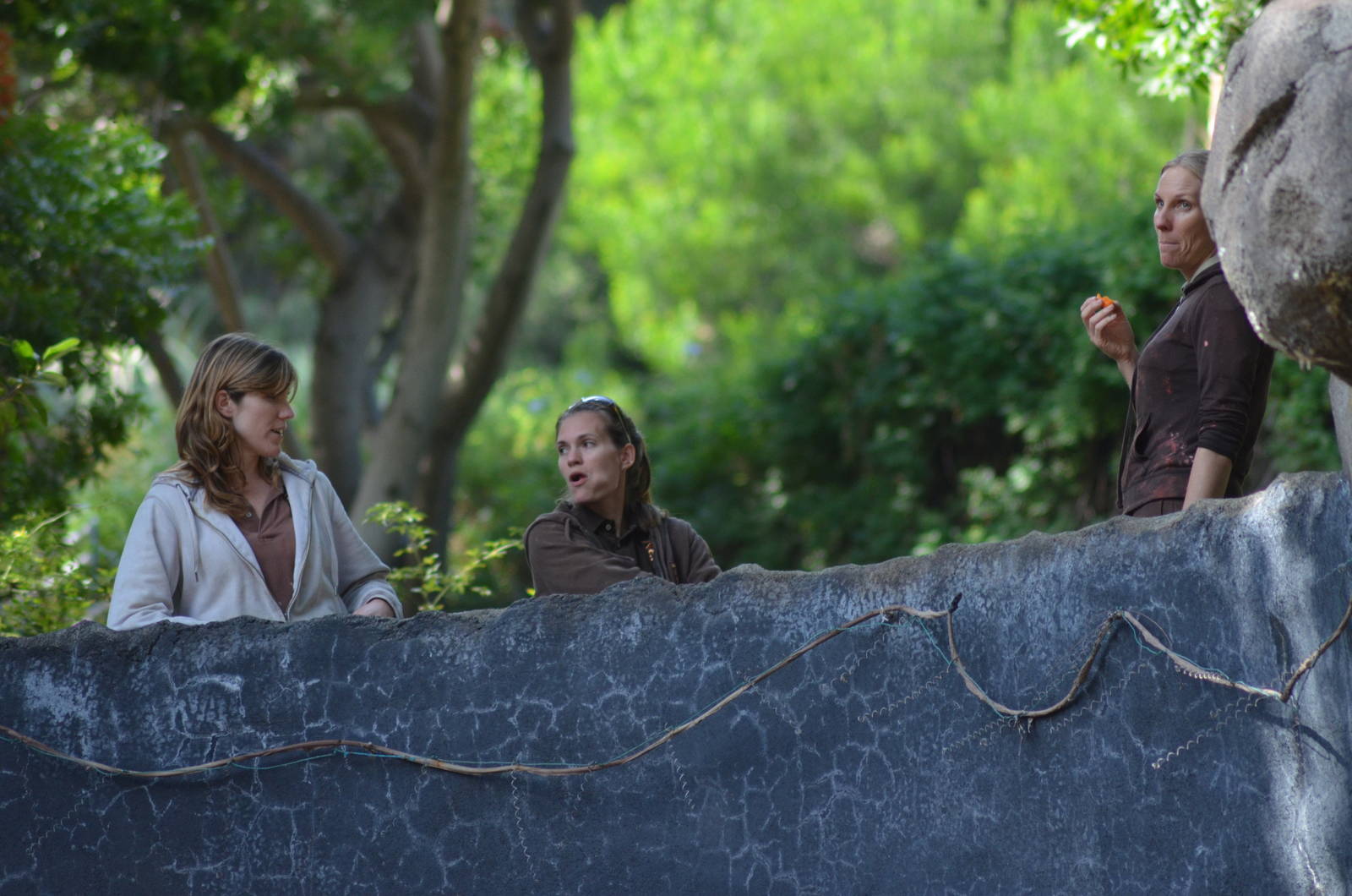 Chimpanzee Keepers Look On