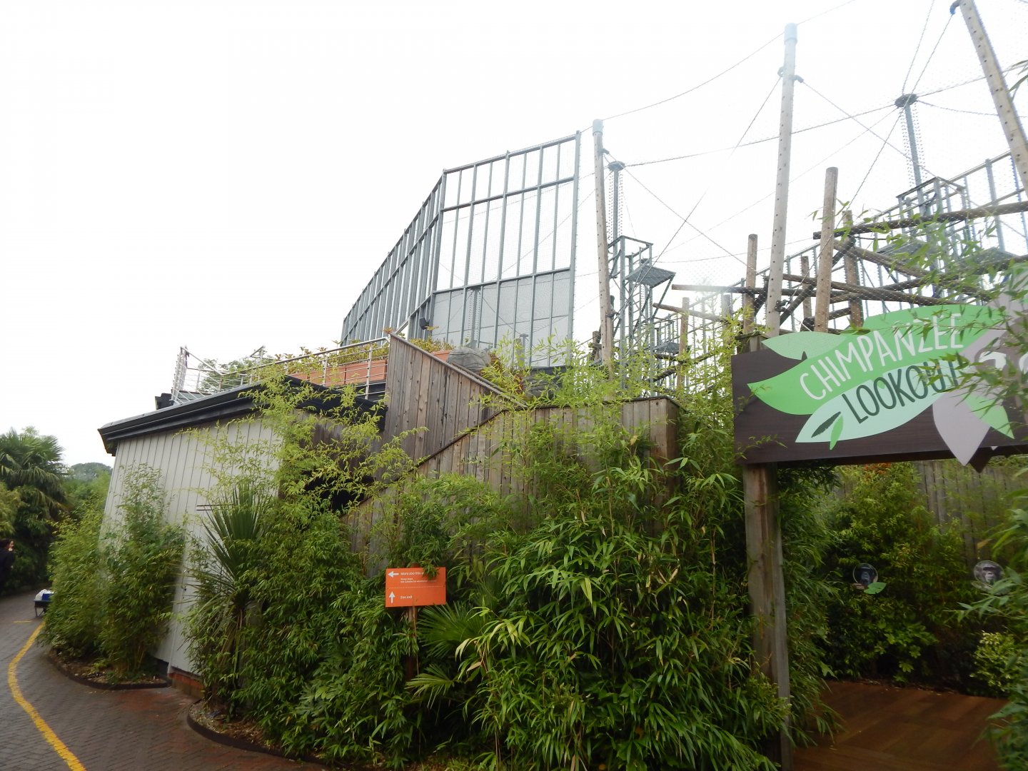 Chimpanzee Lookout 140921