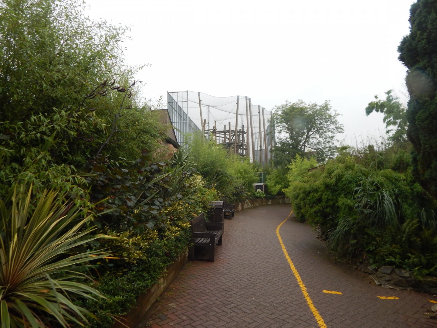 Chimpanzee Lookout 140921