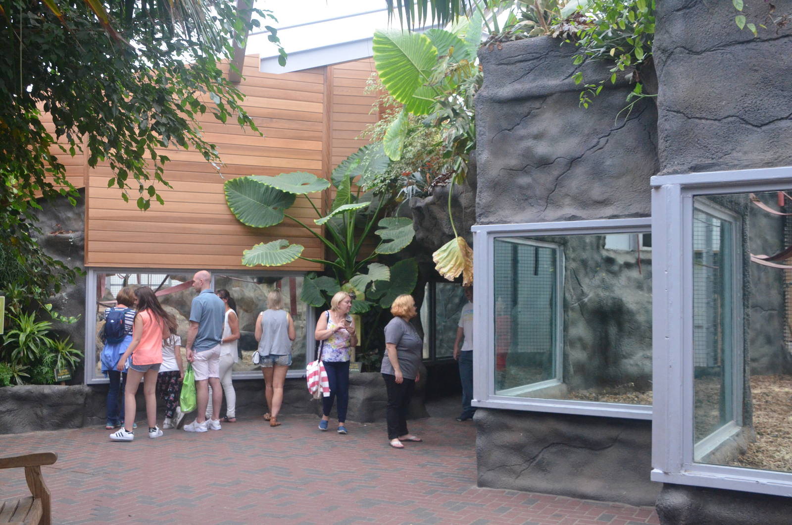 Chimpanzee Lookout (Chimp Indoor Enclosures) at Colchester, 13/08/16
