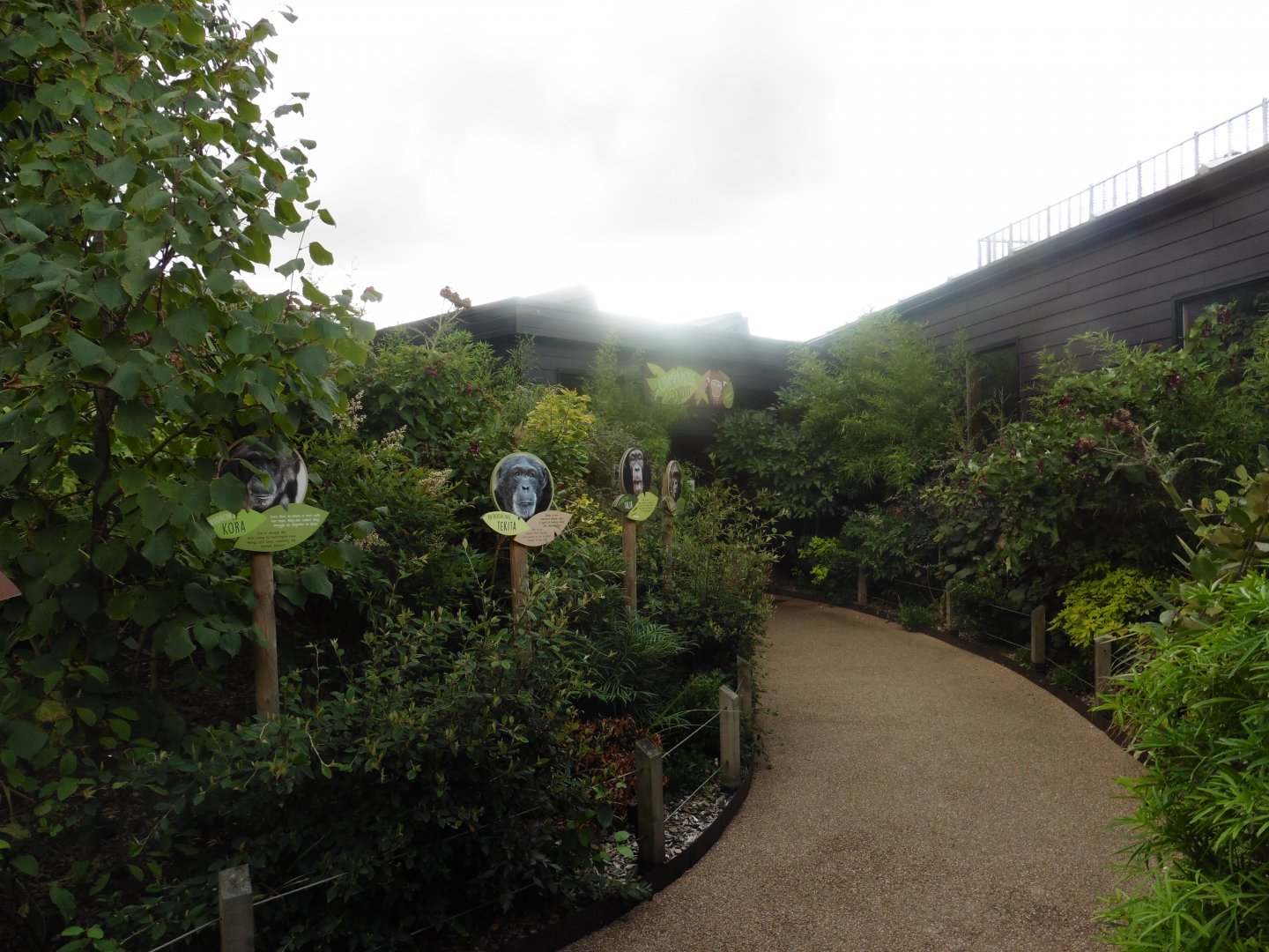 Chimpanzee Lookout entrance