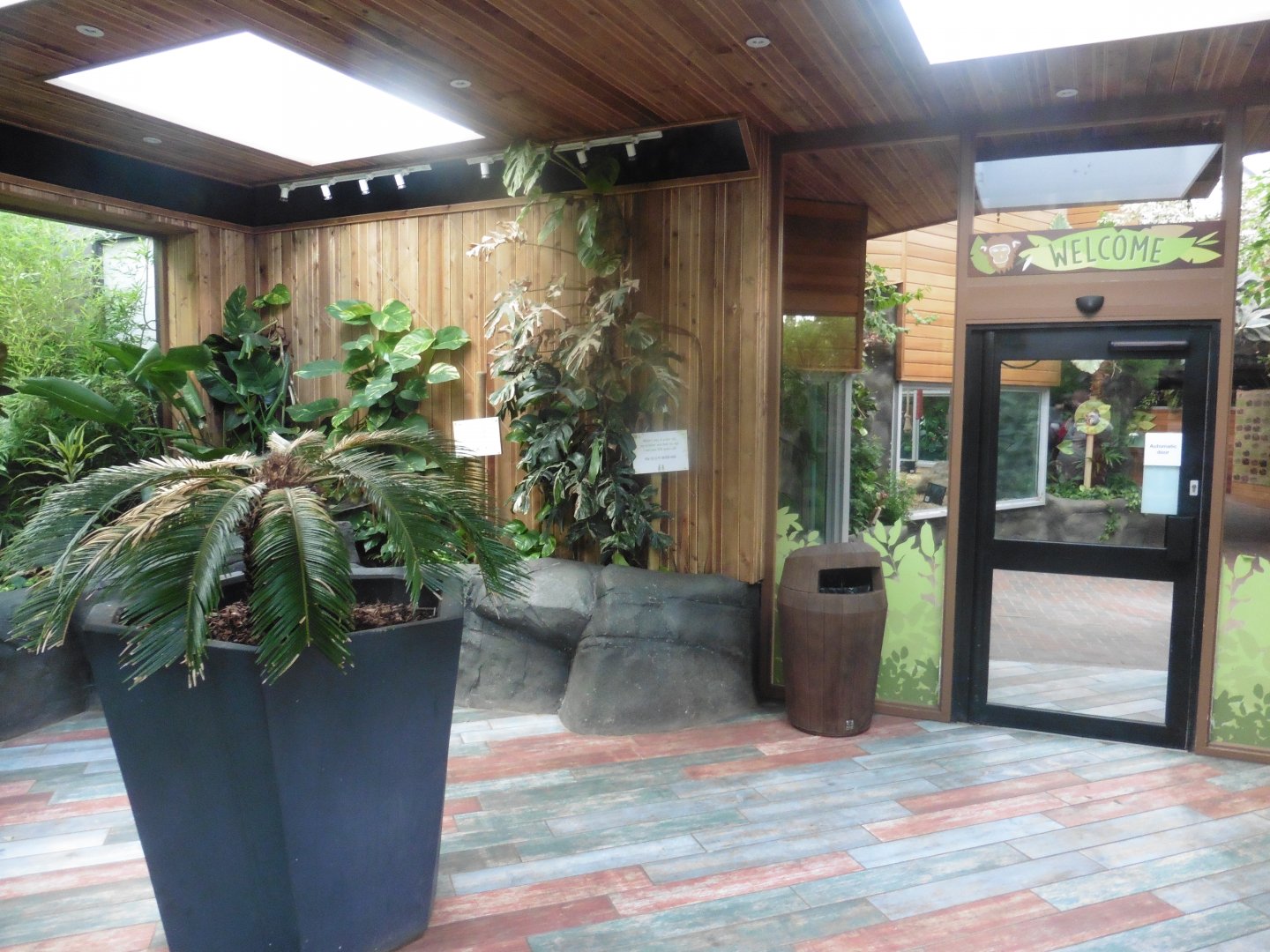 Chimpanzee Lookout Foyer