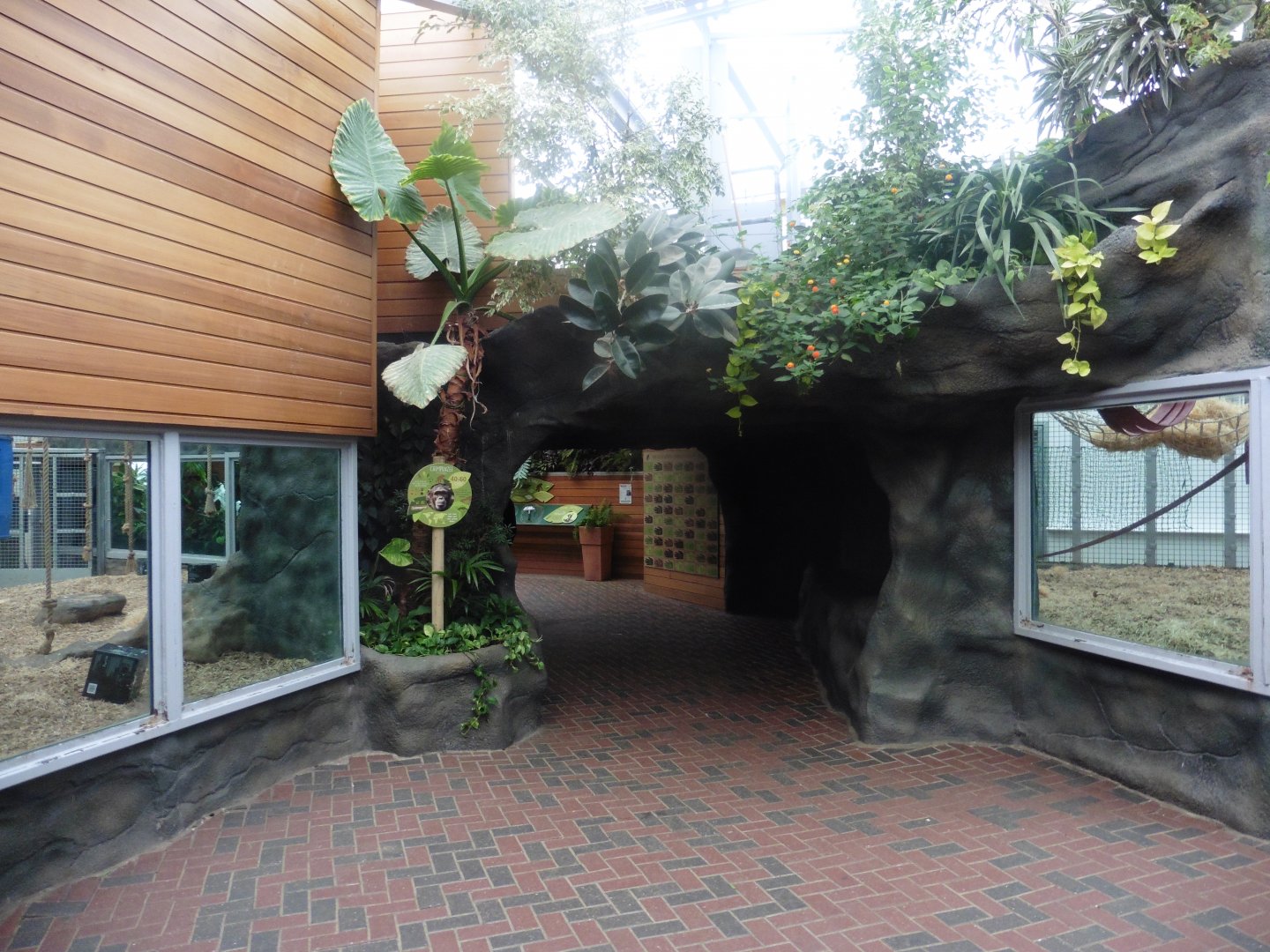 Chimpanzee Lookout interior