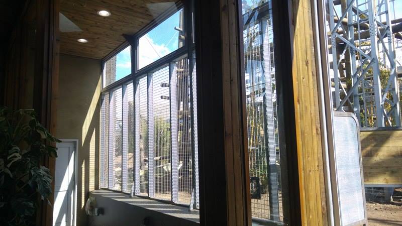 Chimpanzee Lookout Outdoor (Training Room)