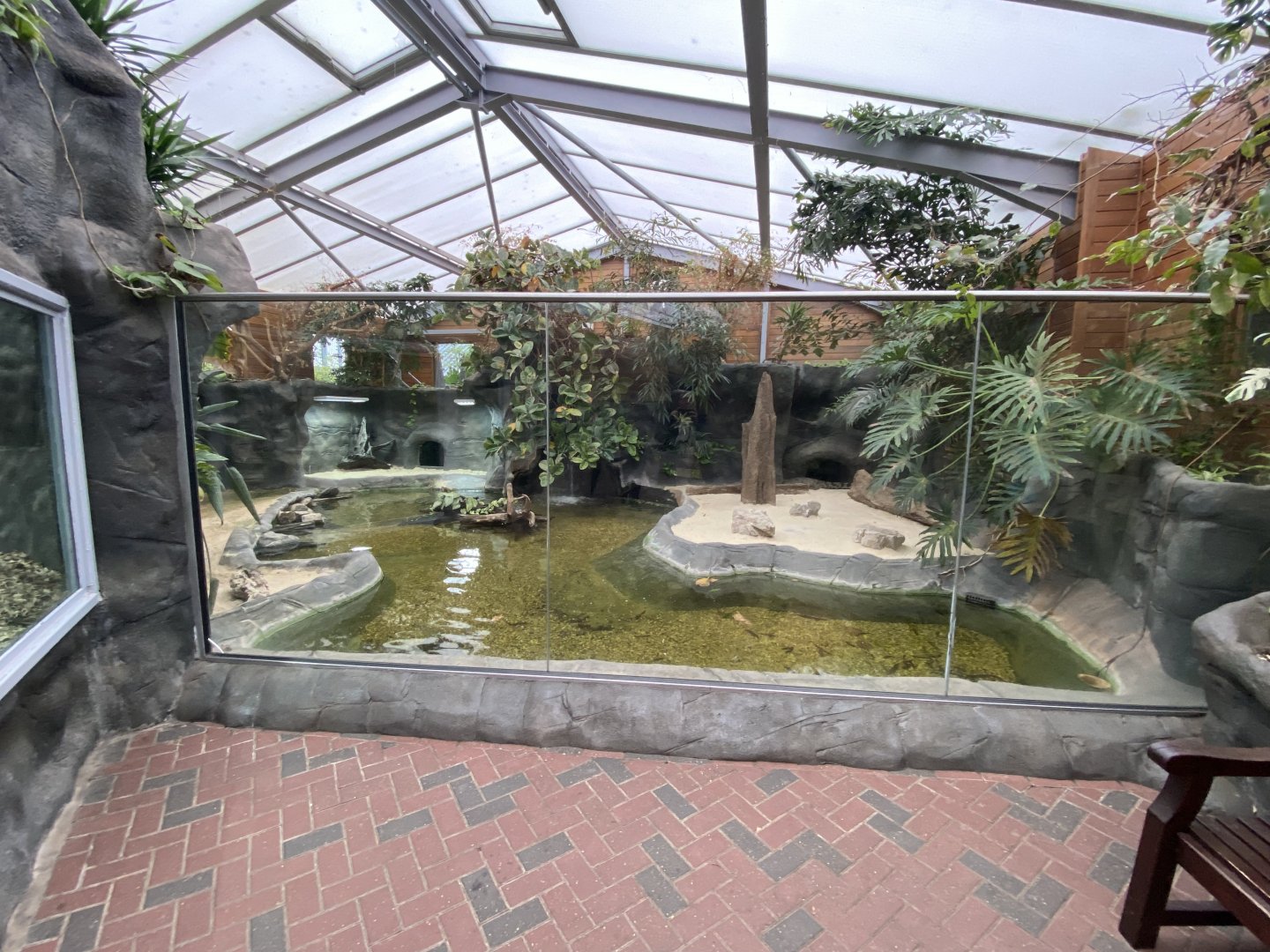 Chimpanzee Lookout - Slender-snouted crocodile exhibit 140921