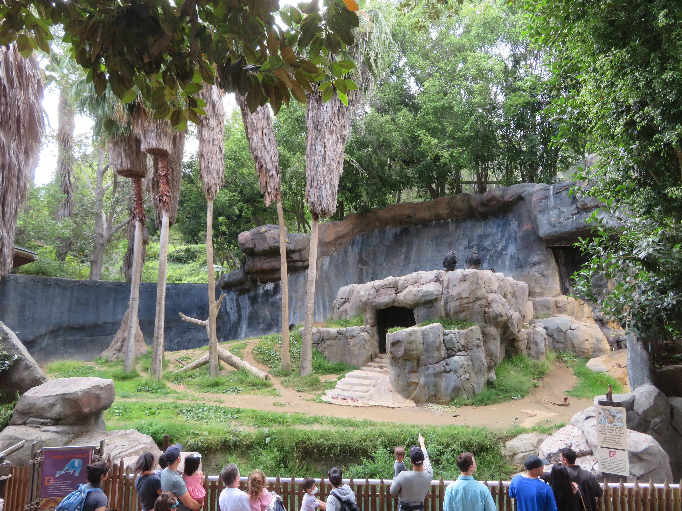 Chimpanzee Lower Exhibit