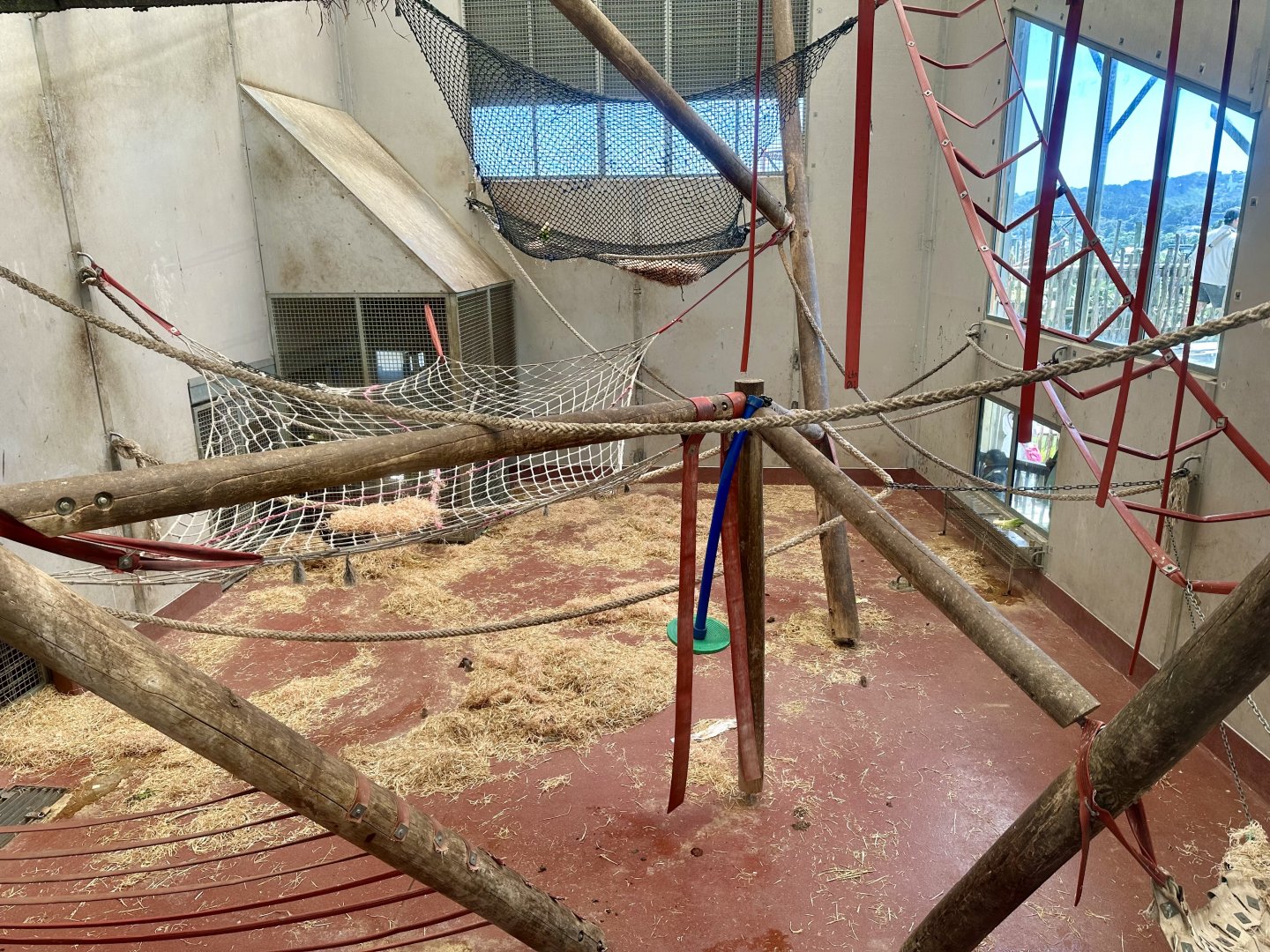 Chimpanzee Night House - Room 2