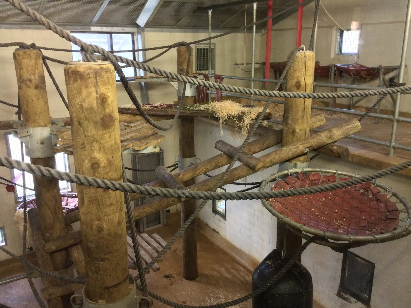 Chimpanzee Night House (Room Two)