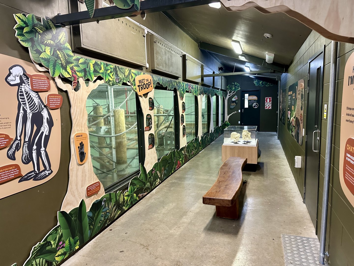 Chimpanzee Night House (Viewing Gallery)