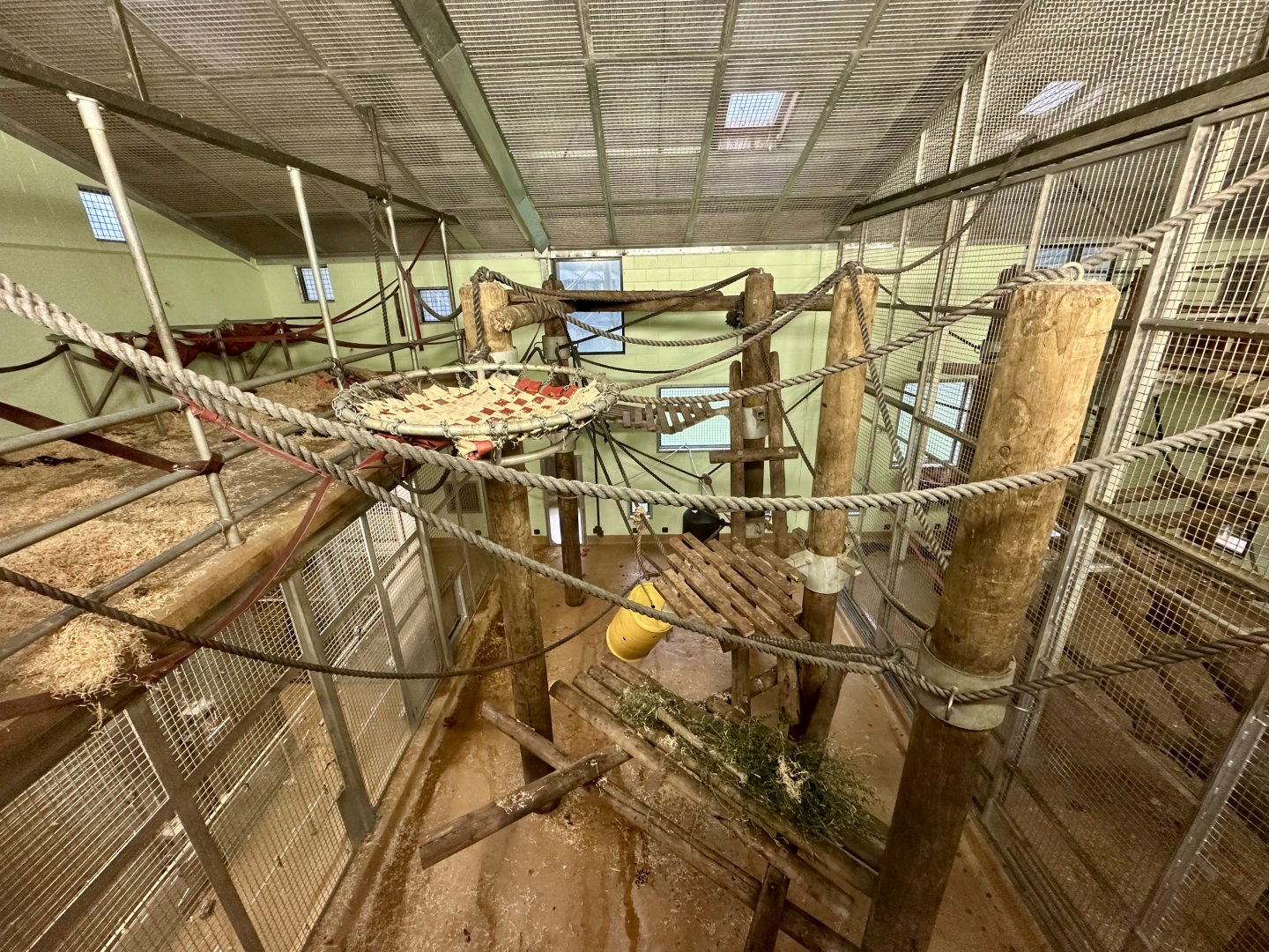 Chimpanzee Night House