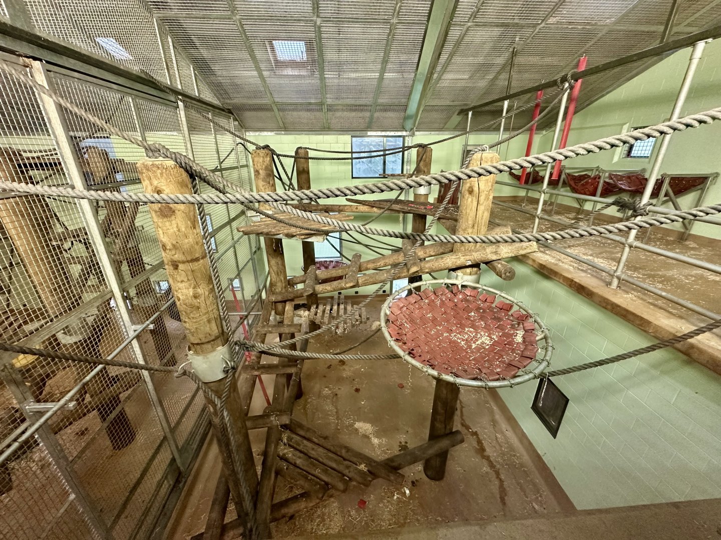 Chimpanzee Night House