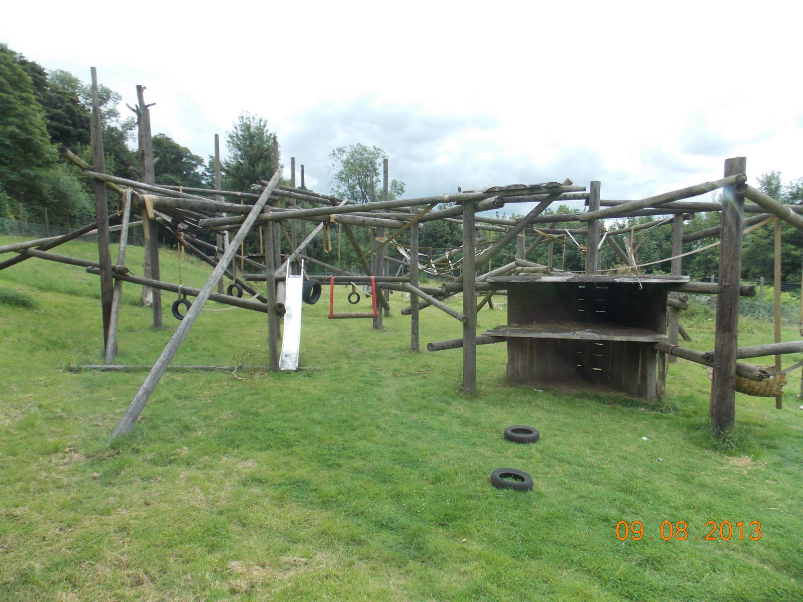 Chimpanzee outdoor area