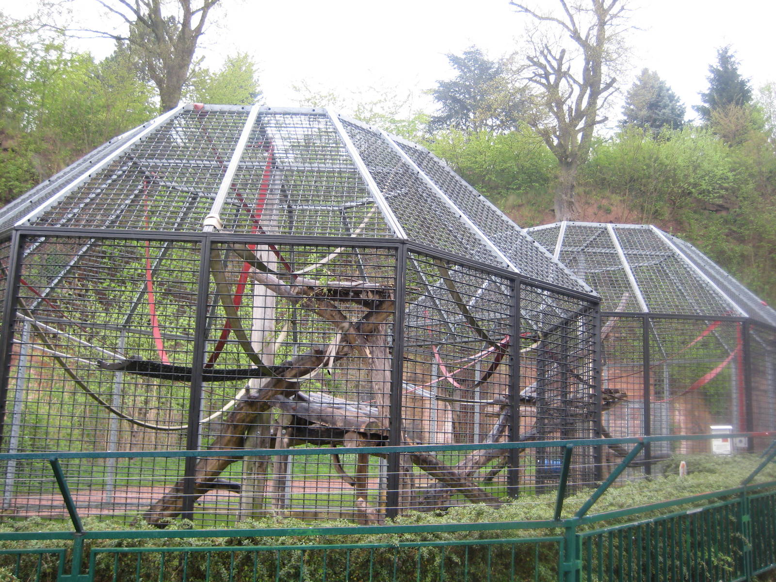 Chimpanzee Outdoor cages