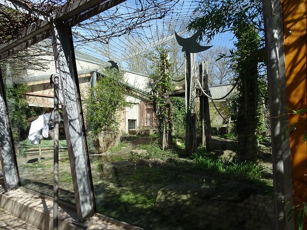 Chimpanzee outdoor enclosure (04/22)