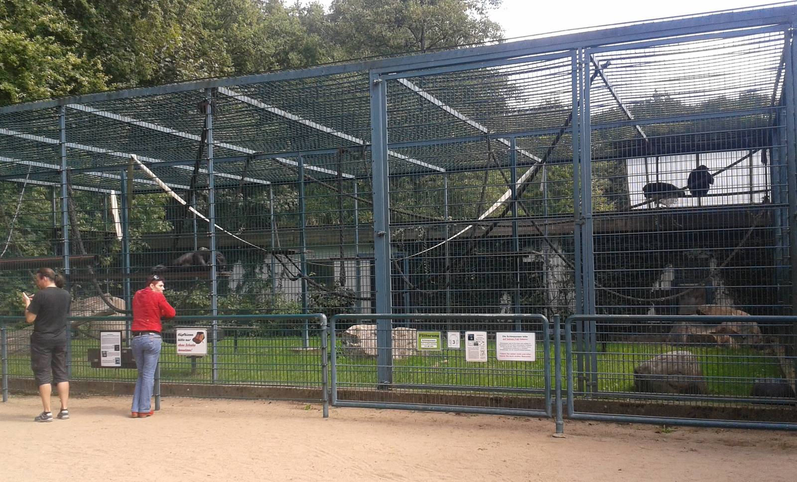 Chimpanzee-outdoor enclosure