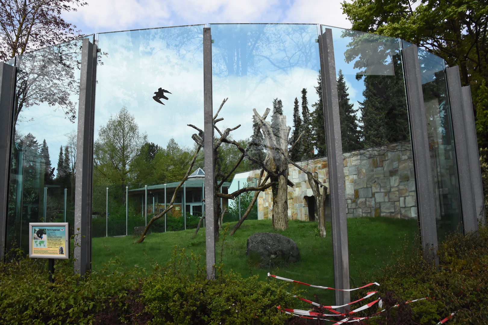 Chimpanzee outdoor enclosure