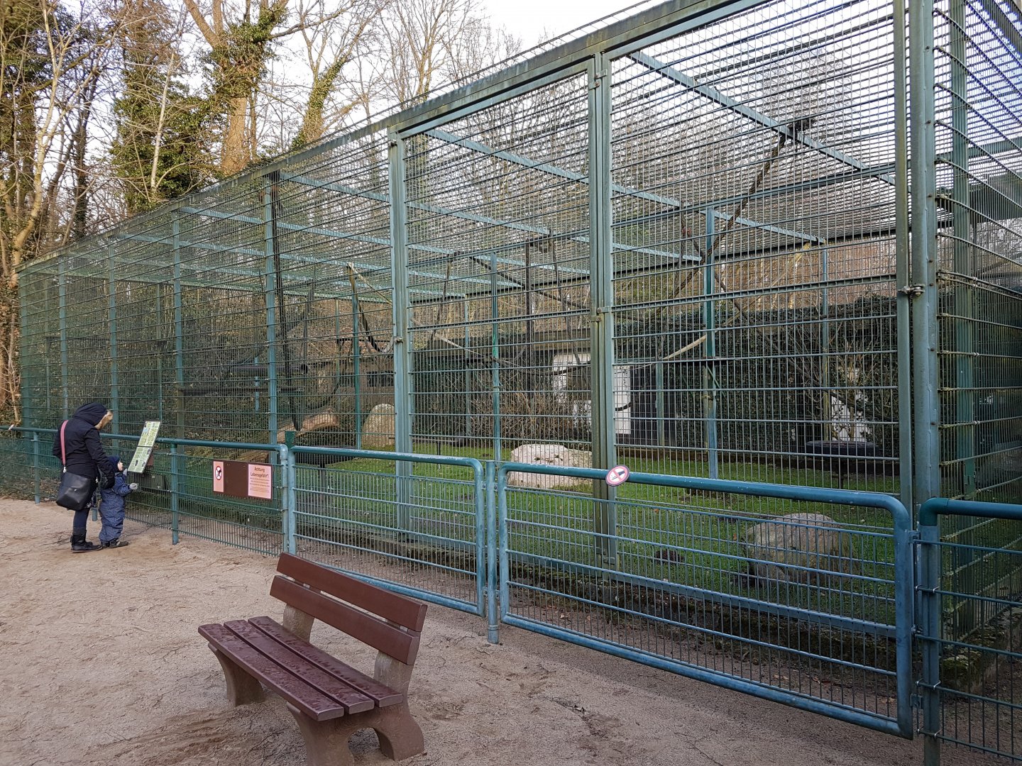 Chimpanzee-outdoor-enclosure