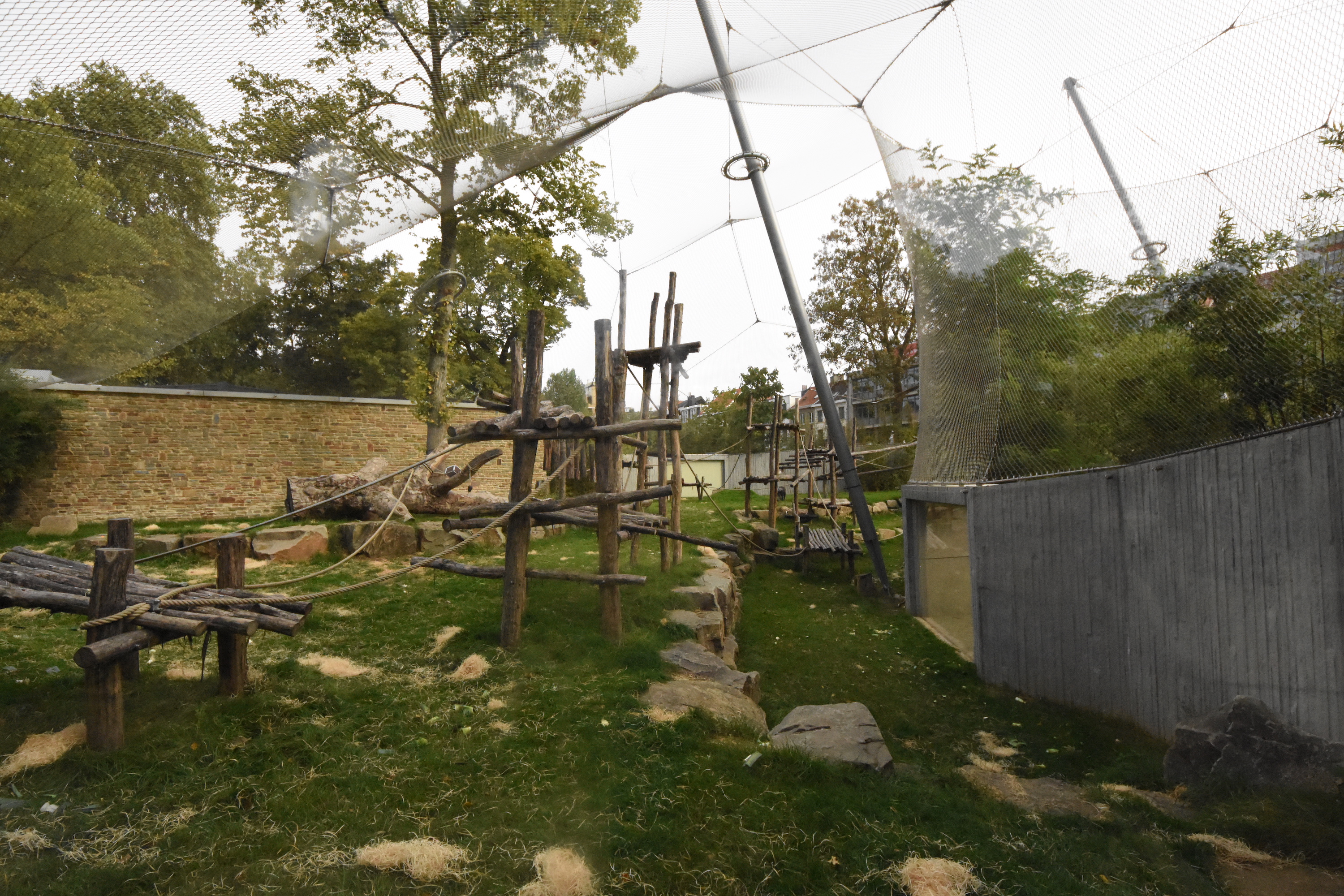 Chimpanzee outdoor enclosure