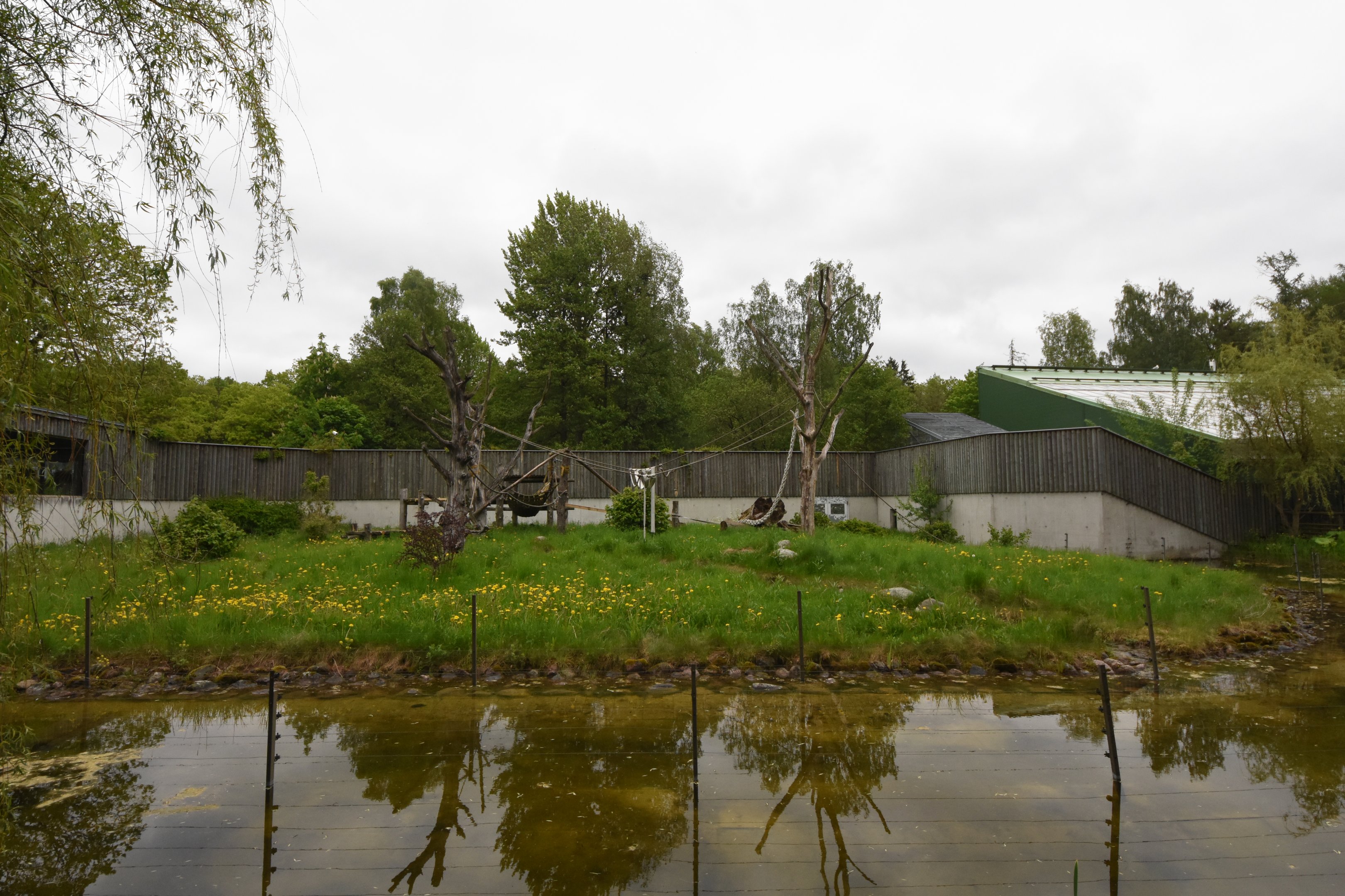 Chimpanzee outdoor enclosure