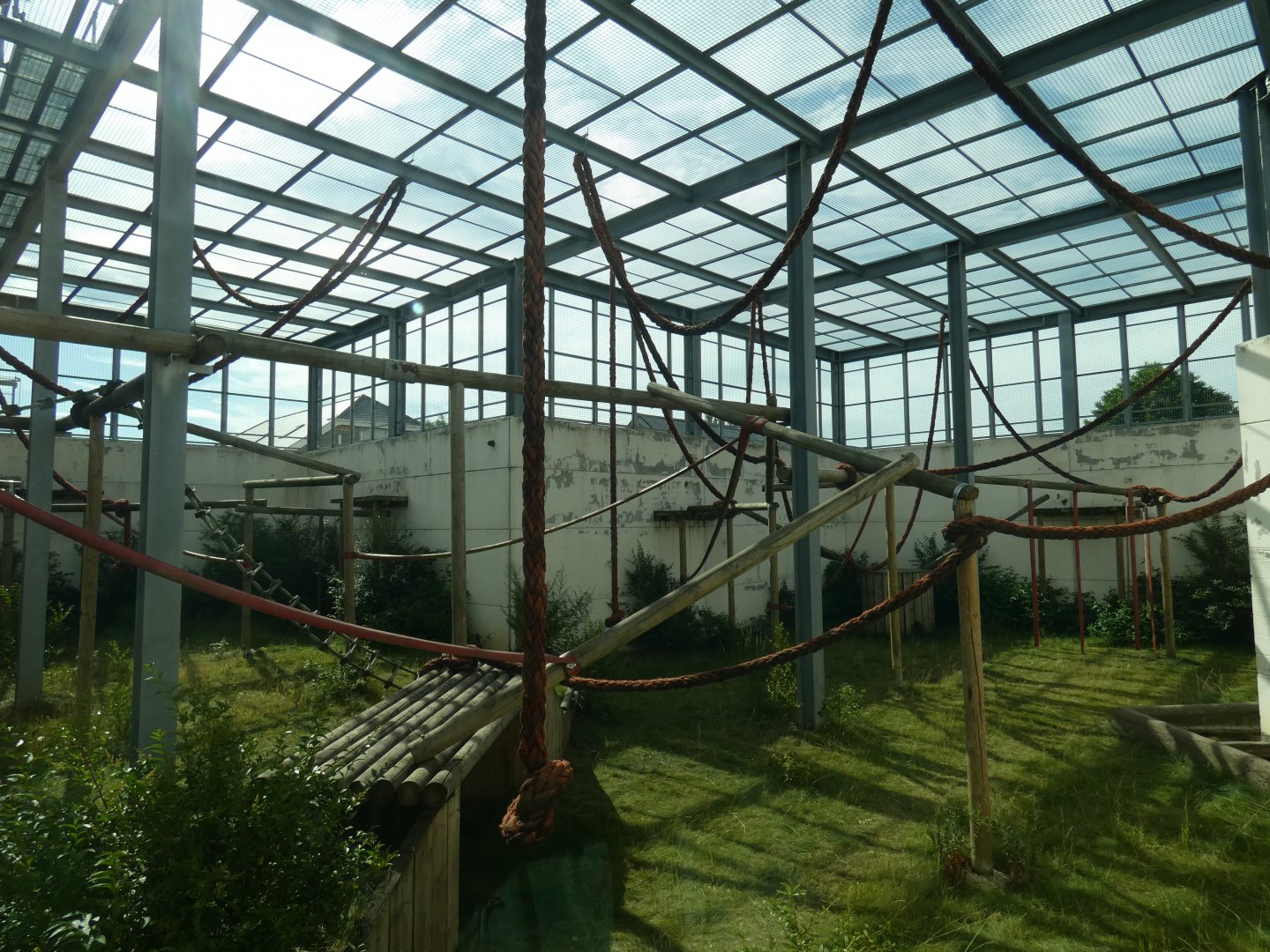 Chimpanzee outdoor enclosure