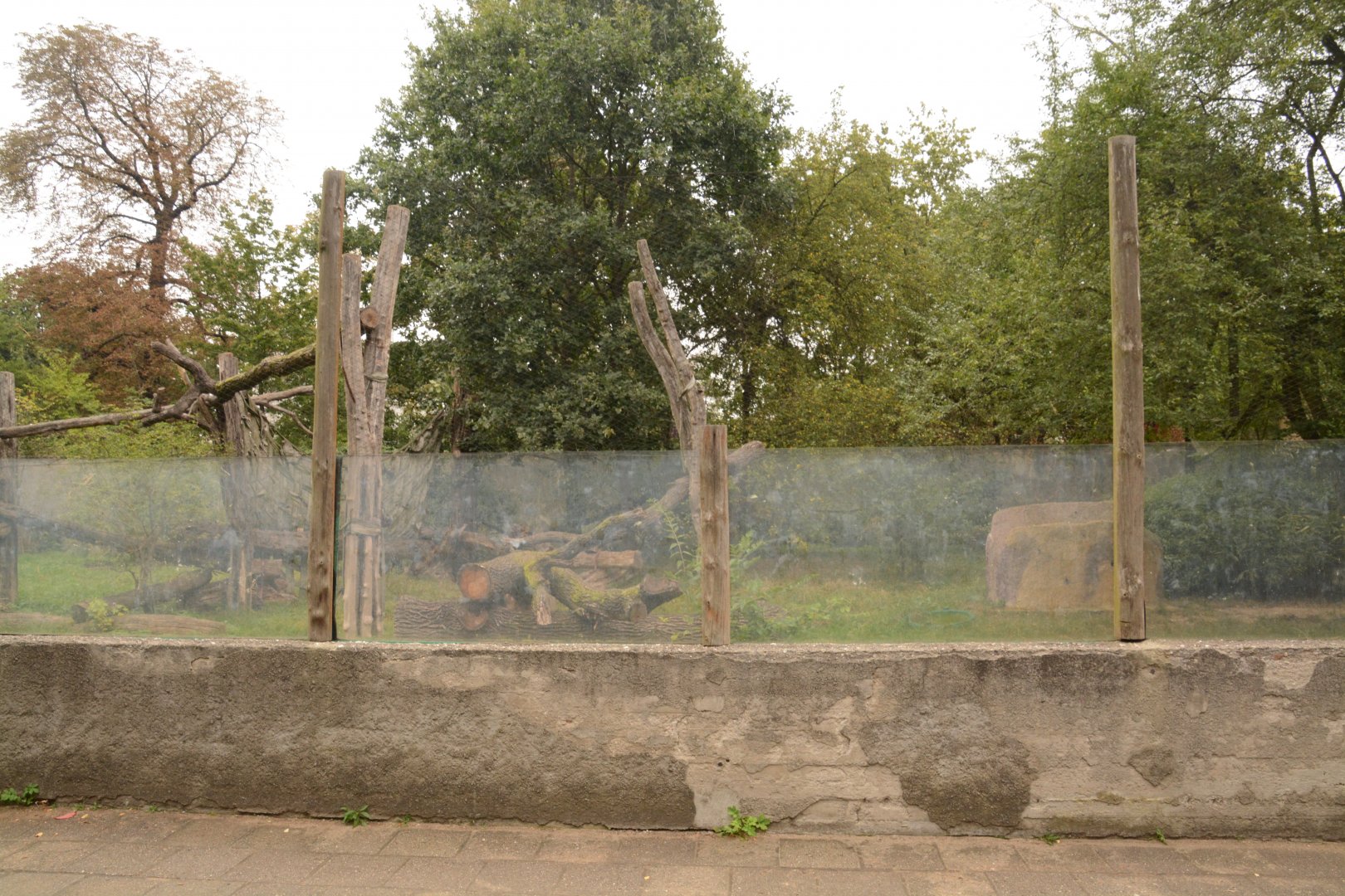 Chimpanzee outdoor enclosure